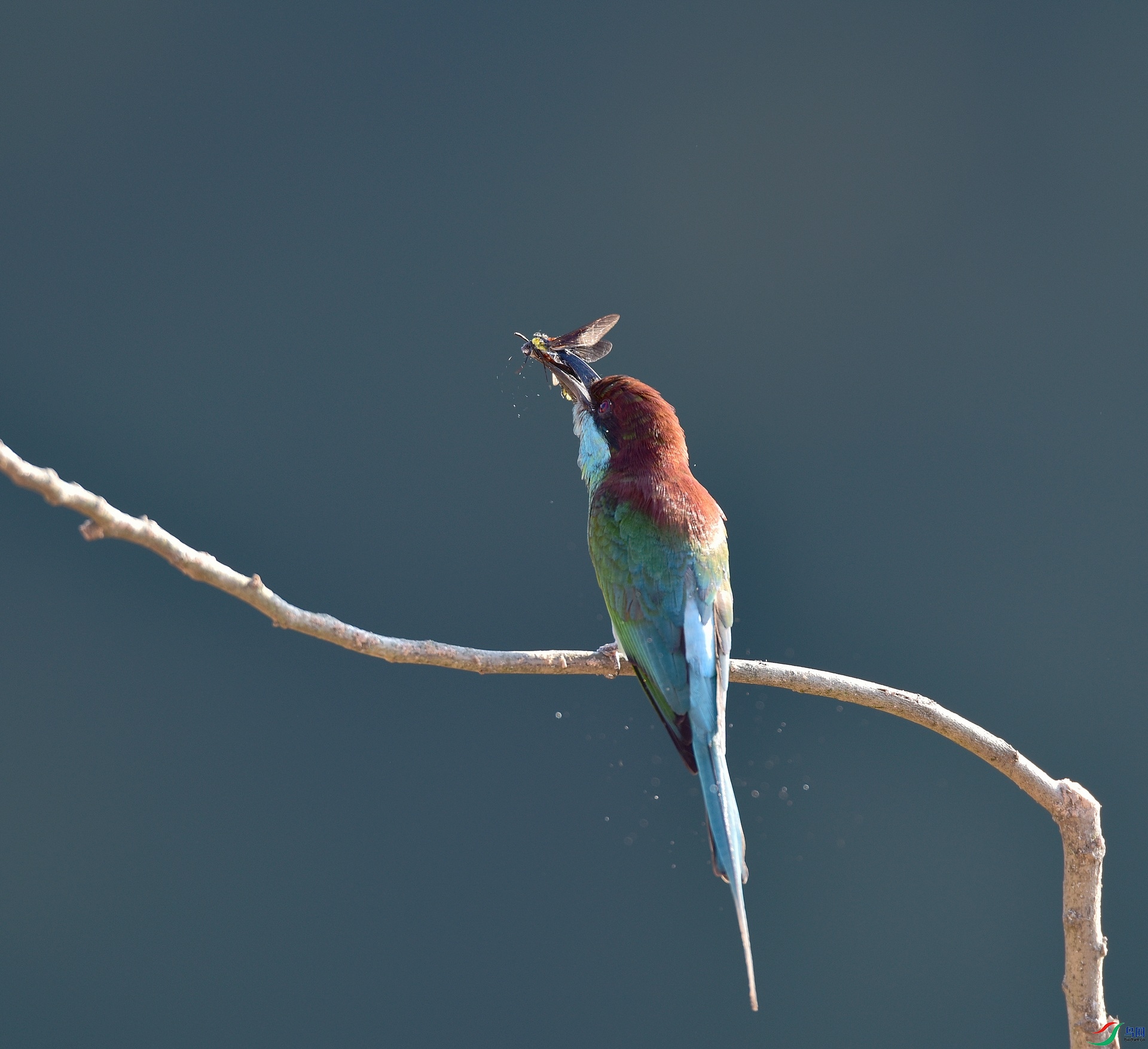 D8I_6752.jpg