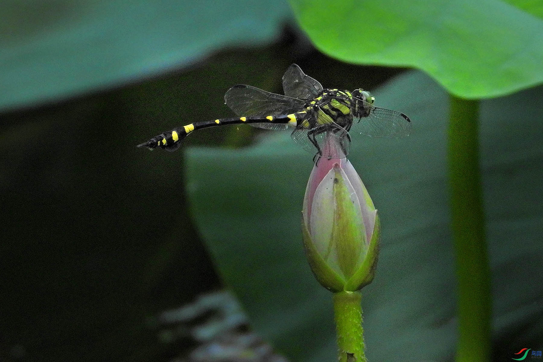 DSCN2728.jpg