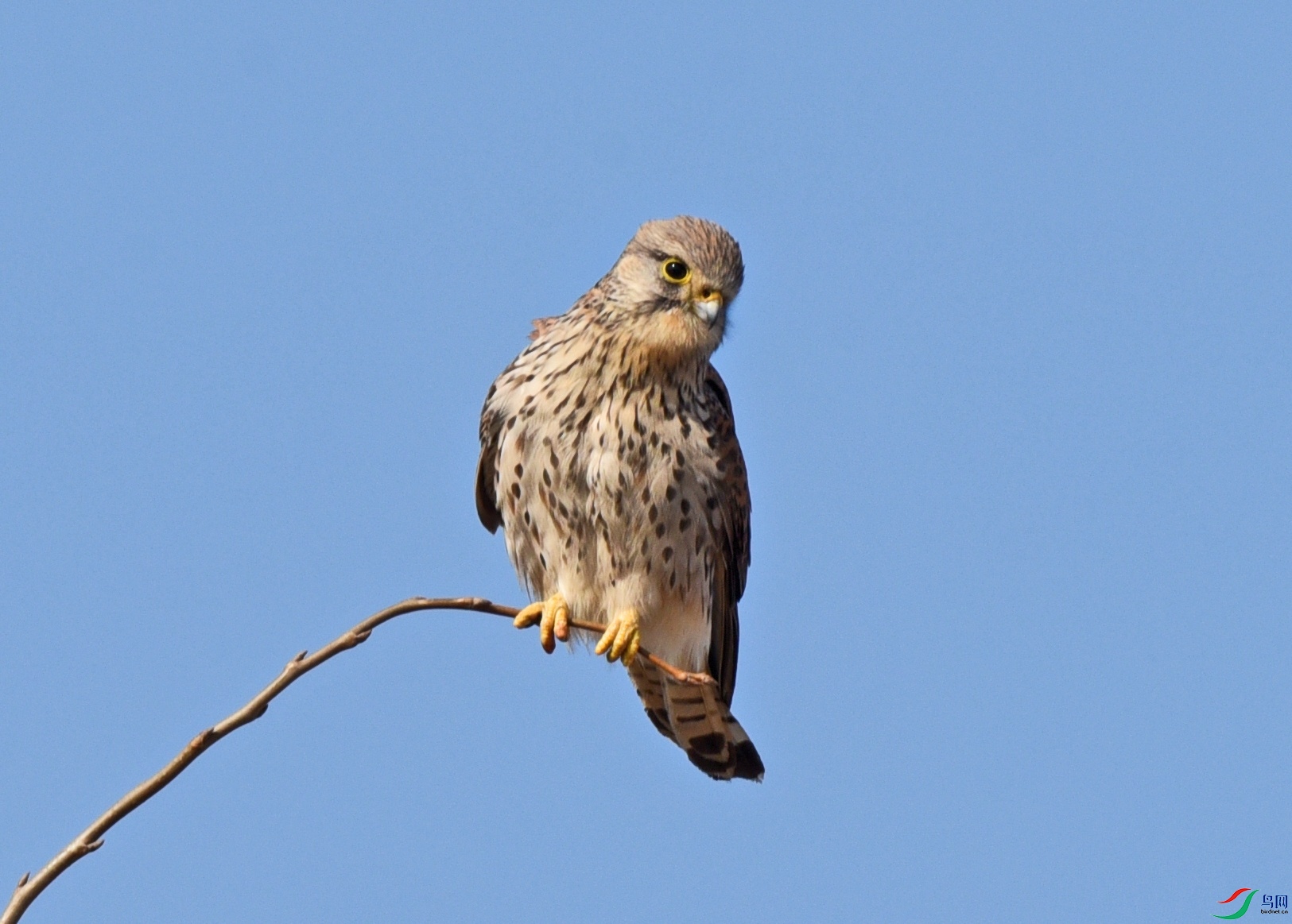 DSC_6404.jpg