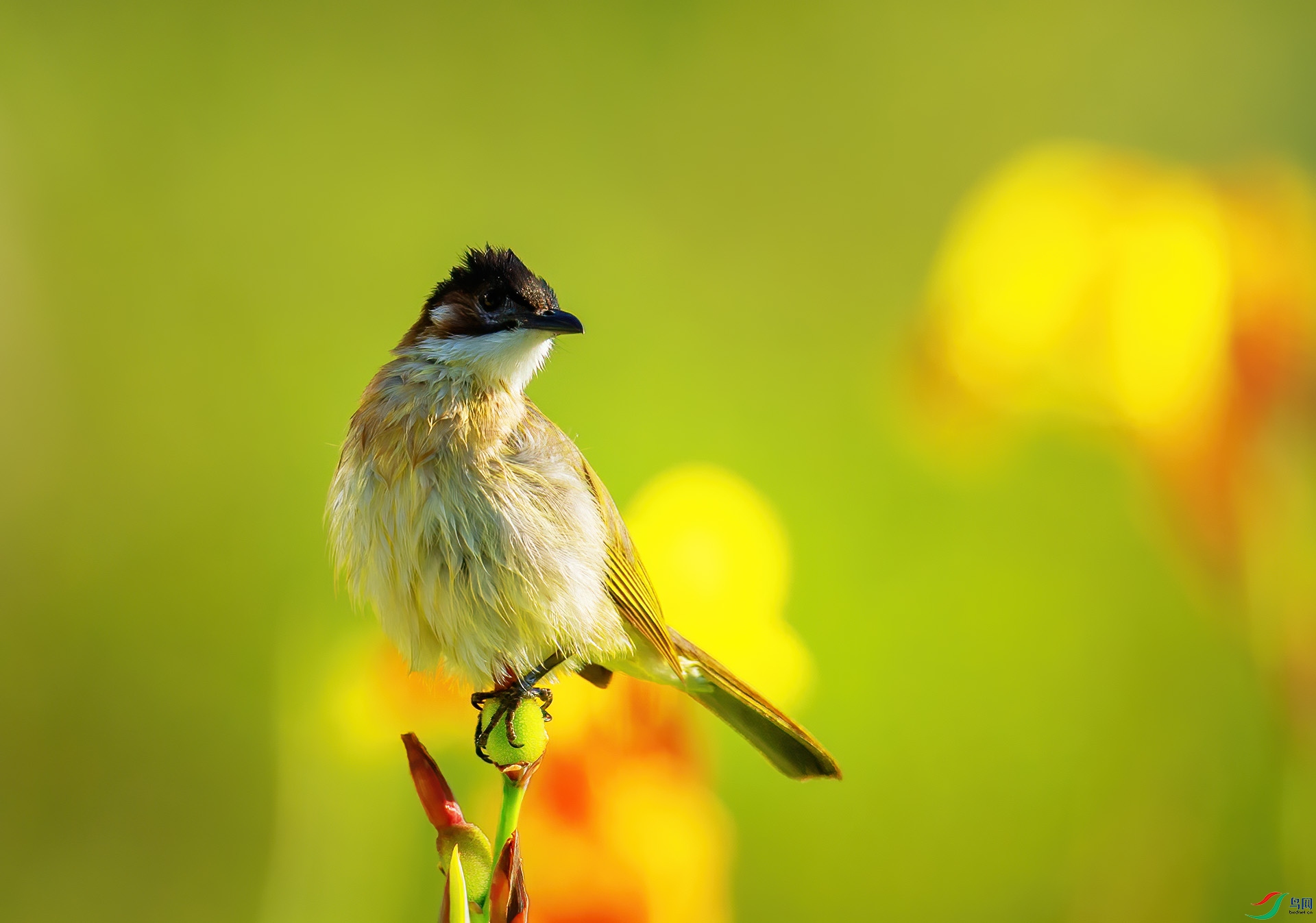 DSC_6159 ����.jpg