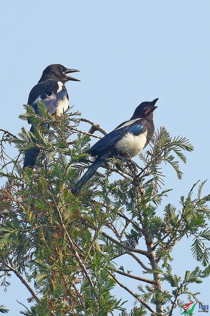 DSCN5275.jpg