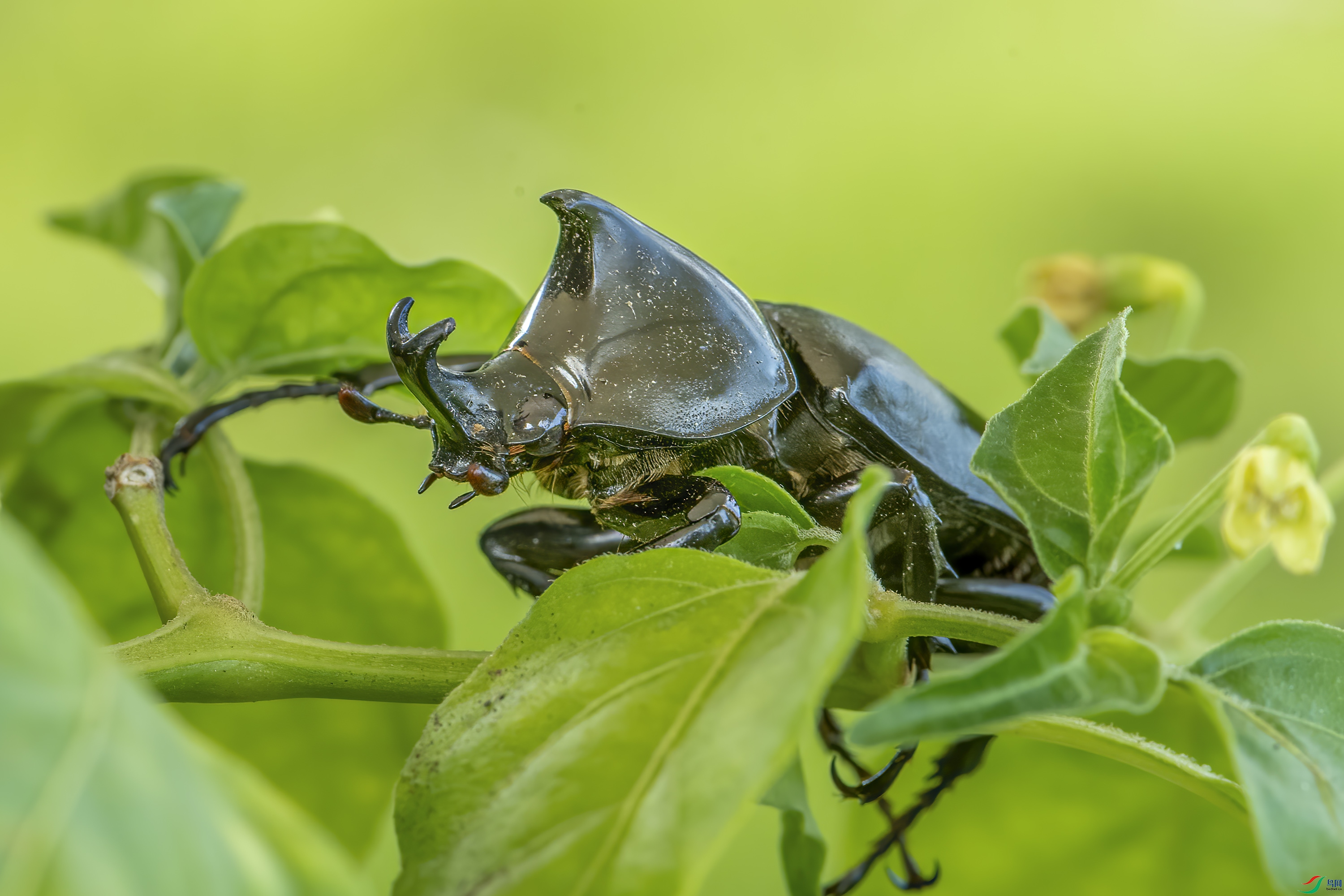 DSC_6128.jpg