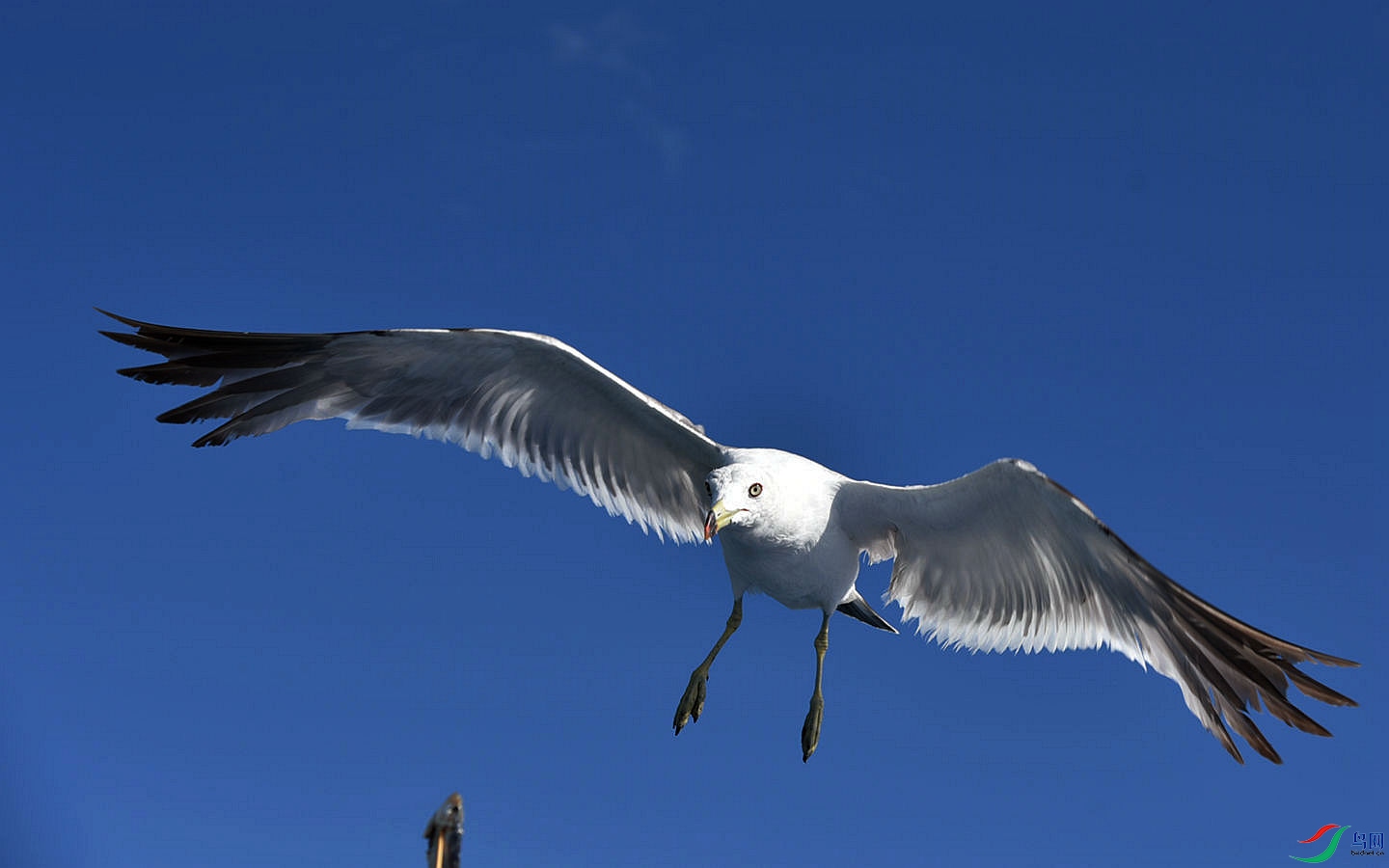 DSC_302.jpg
