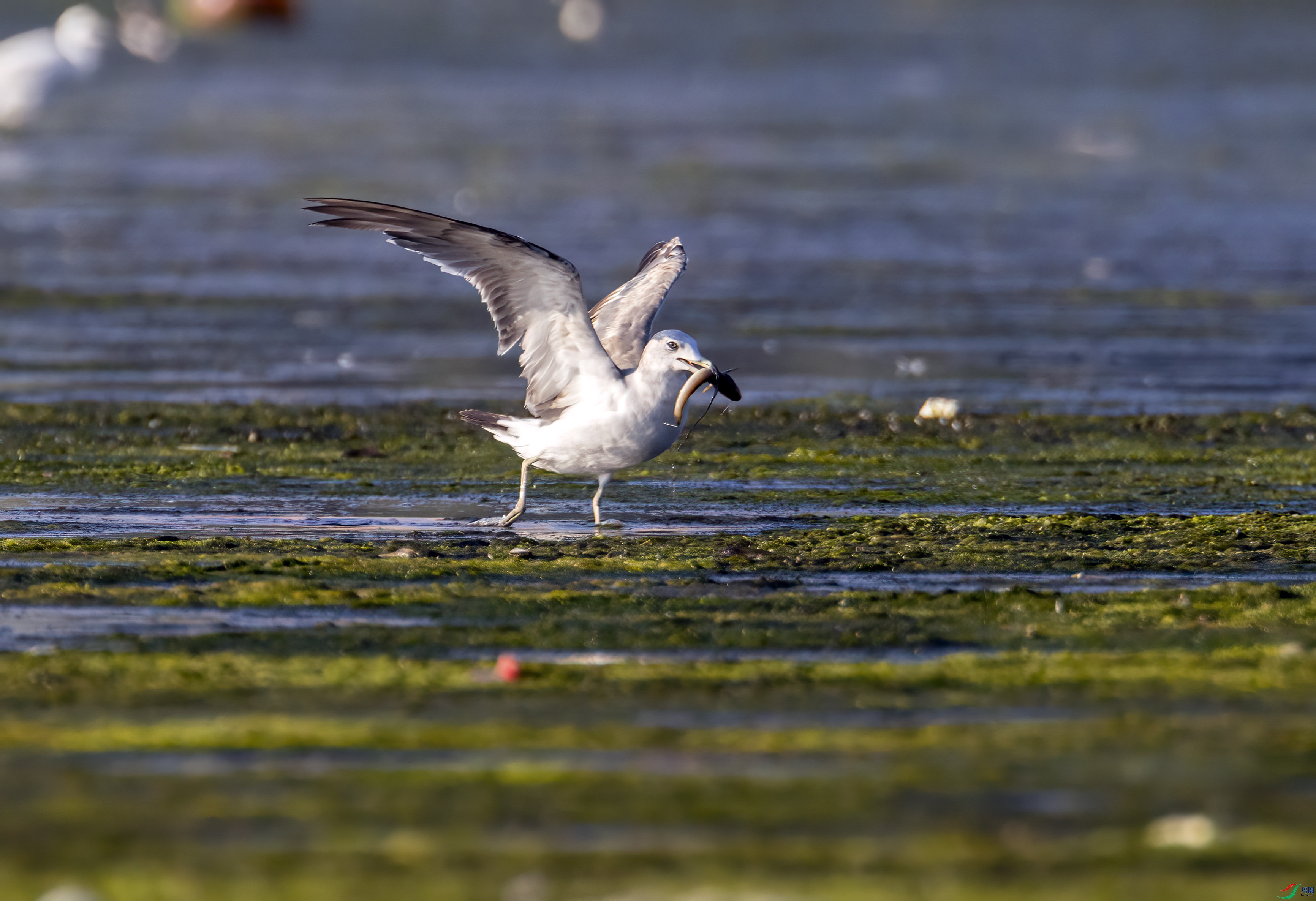 231A5160.jpg
