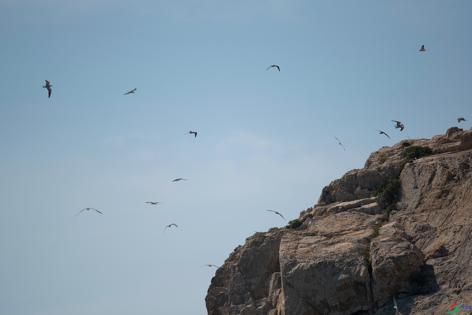 155A0000DSC_7701_�����㽭.jpg