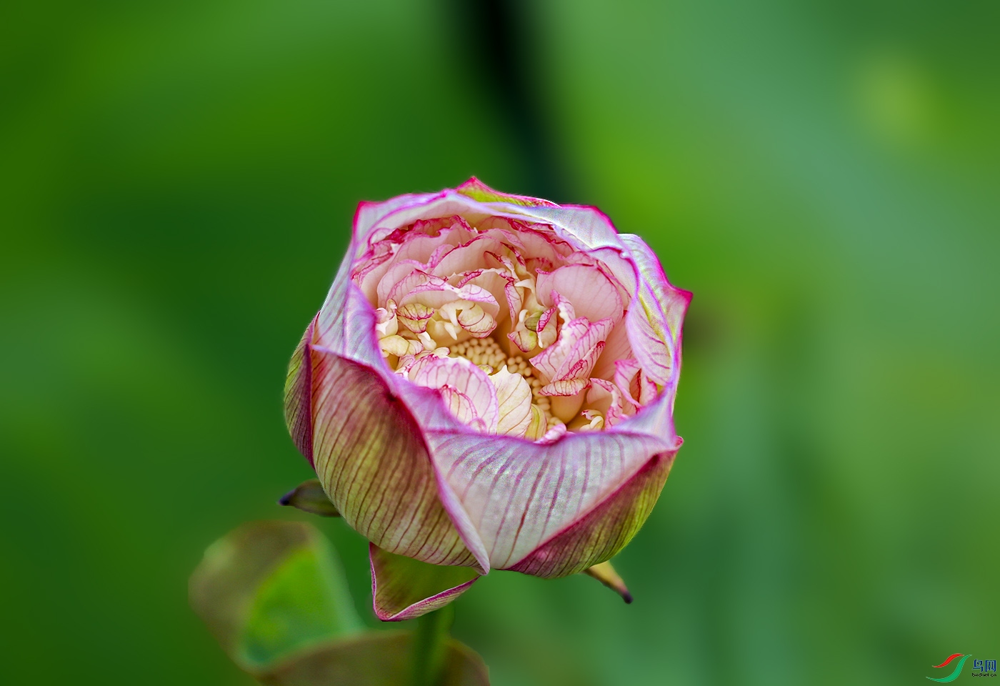 _W1A2319 ����.jpg