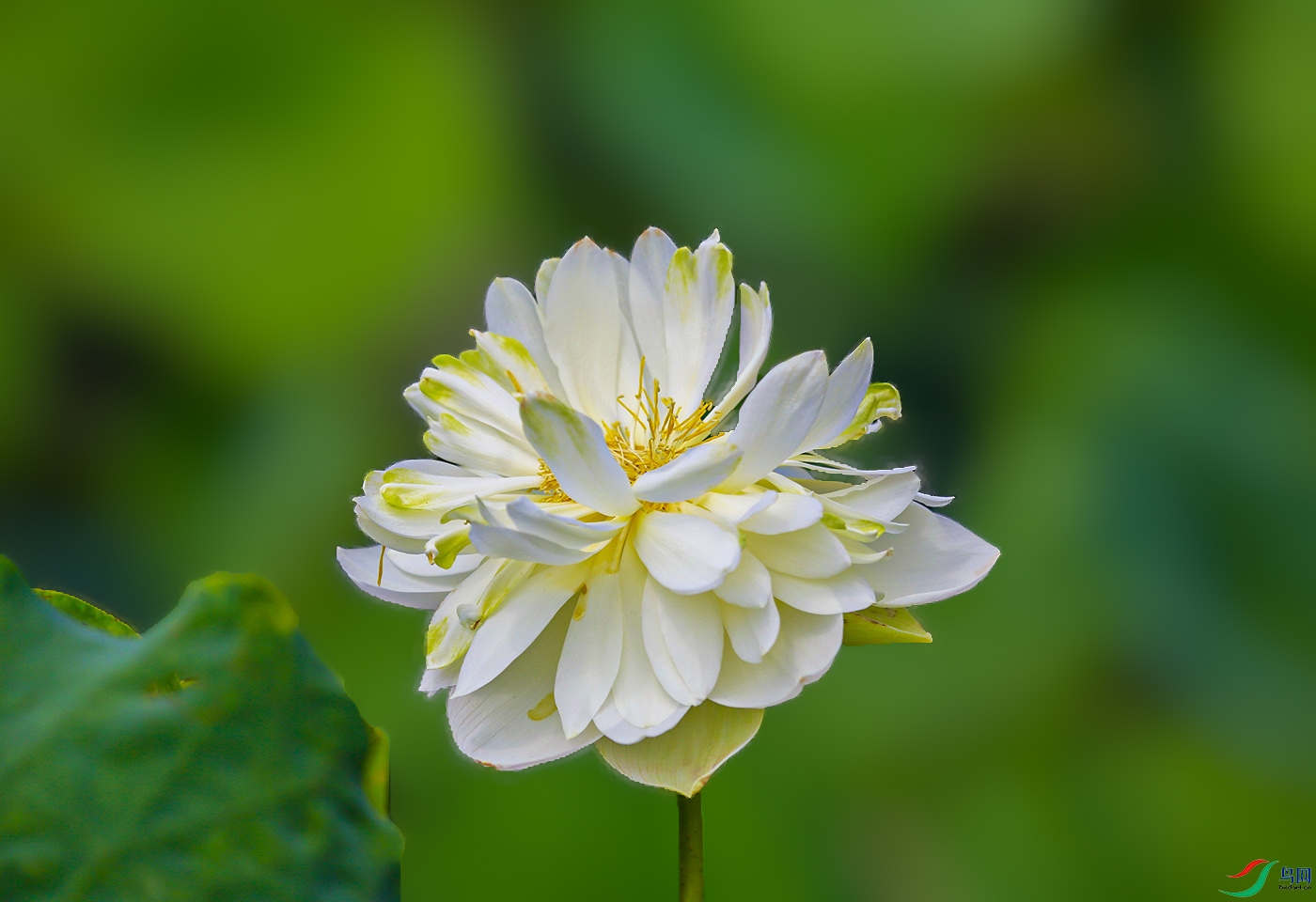 _W1A2312 ����.jpg