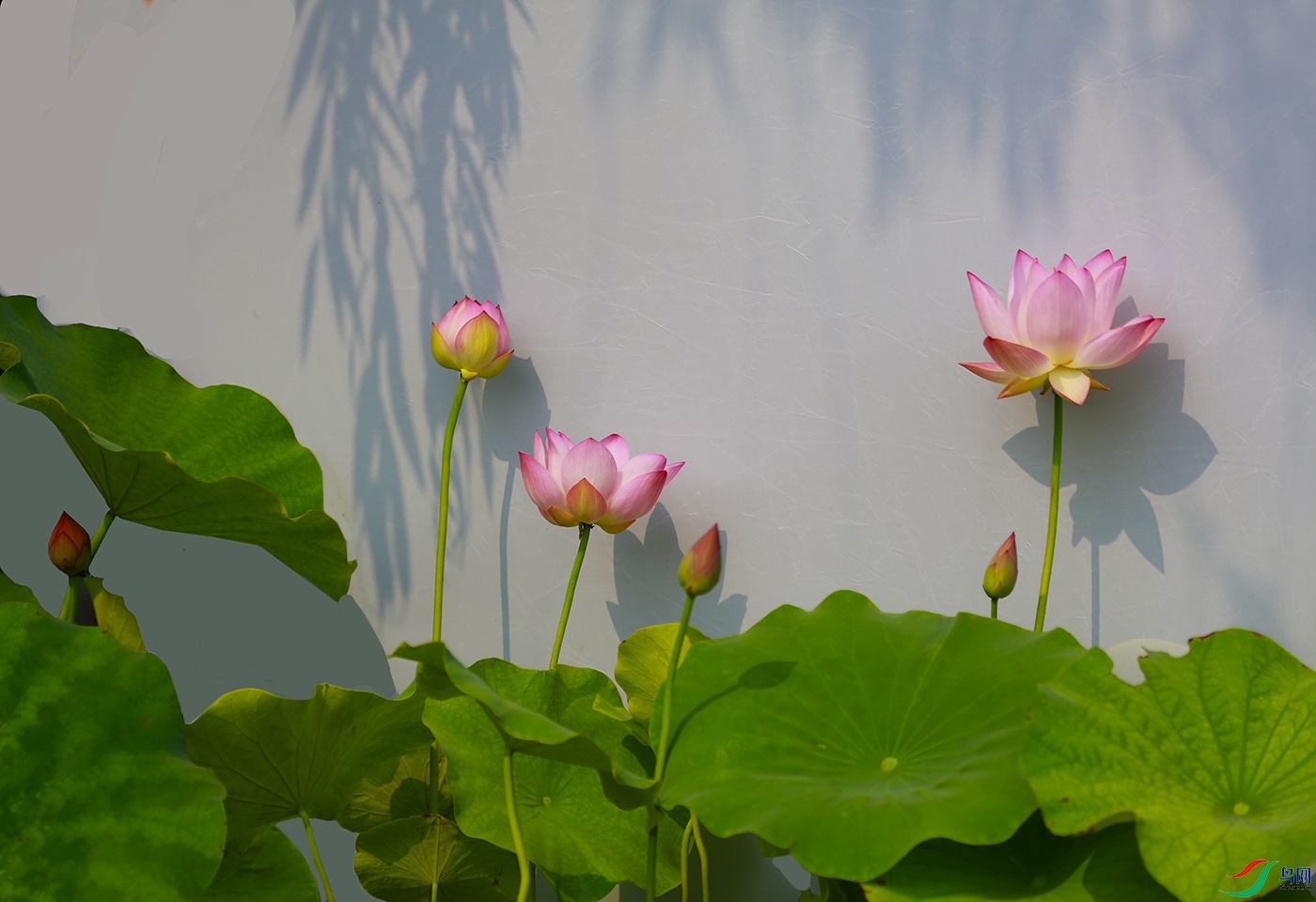 _W1A2126 ����.jpg