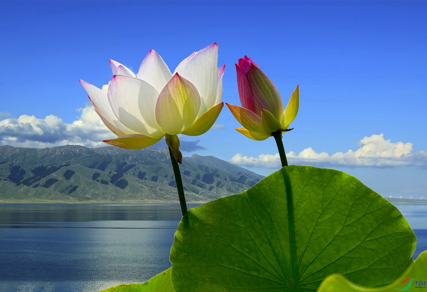 _W1A2143 ����.jpg