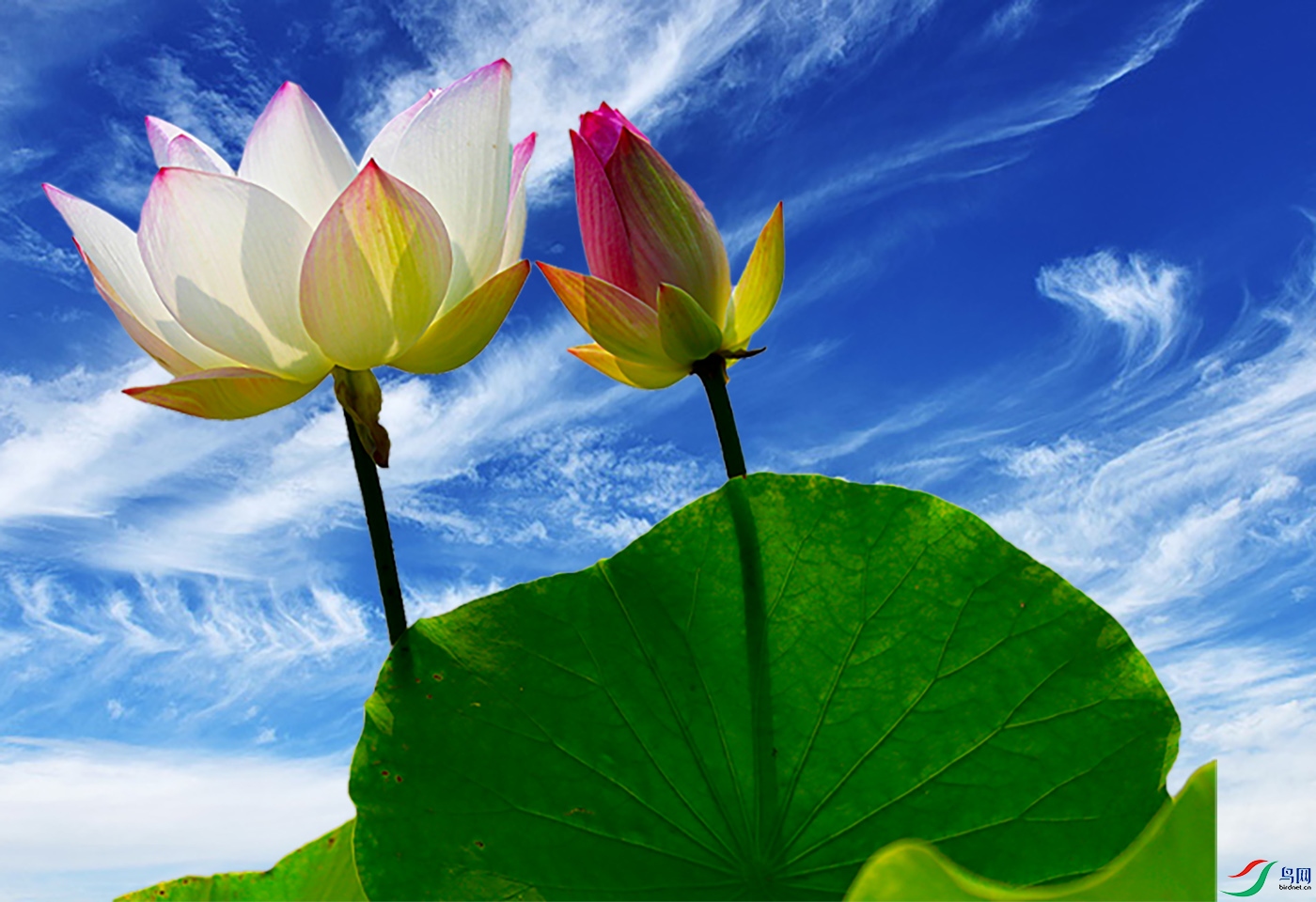 ���� ����.jpg