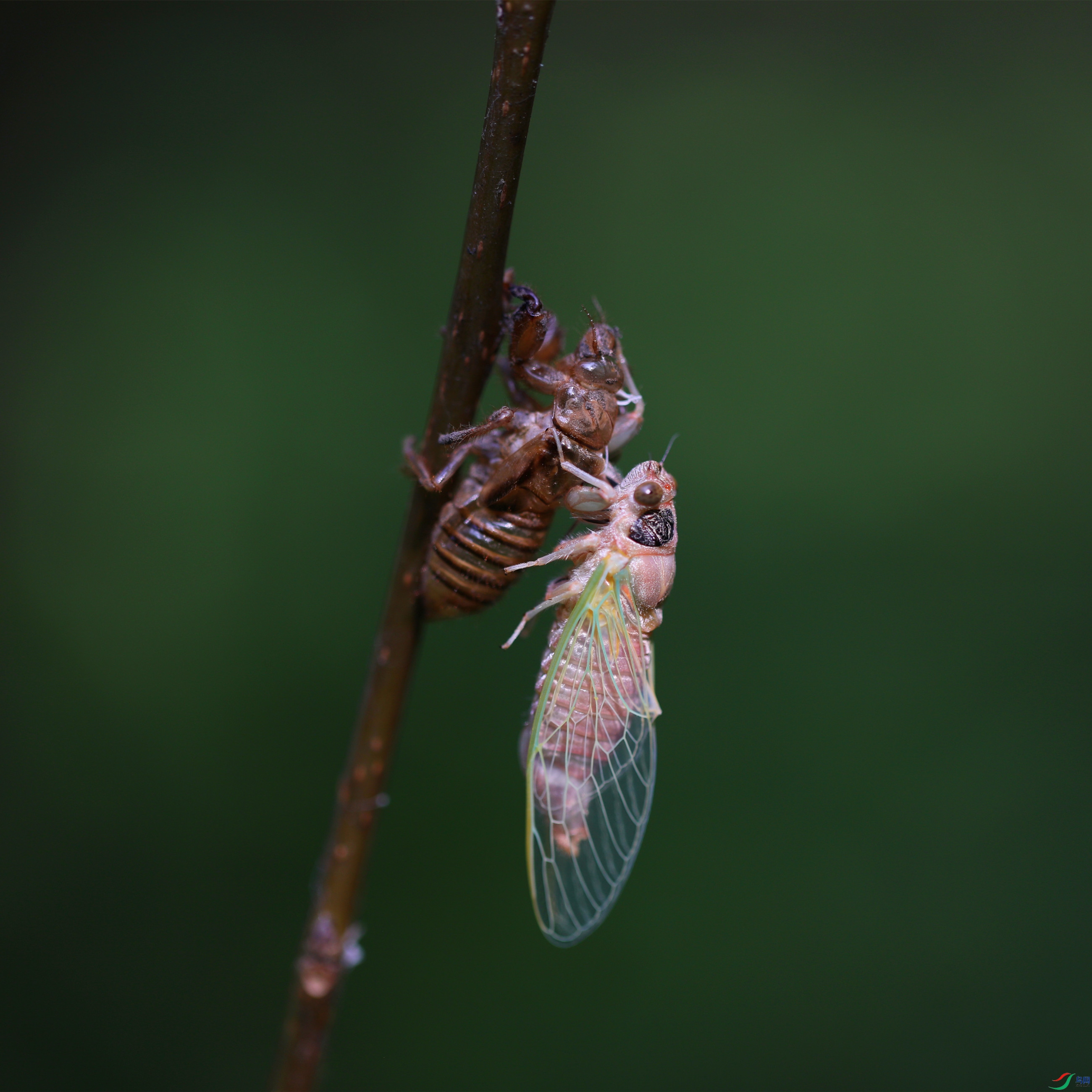 EC6A2028_����.jpg