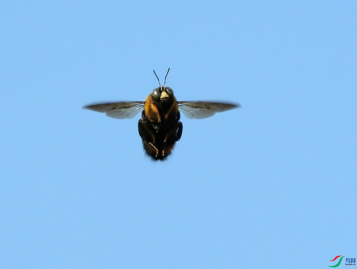 DSCF2200.JPG