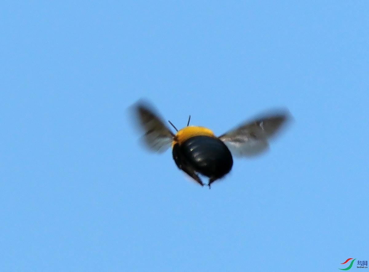 DSCF2239.JPG