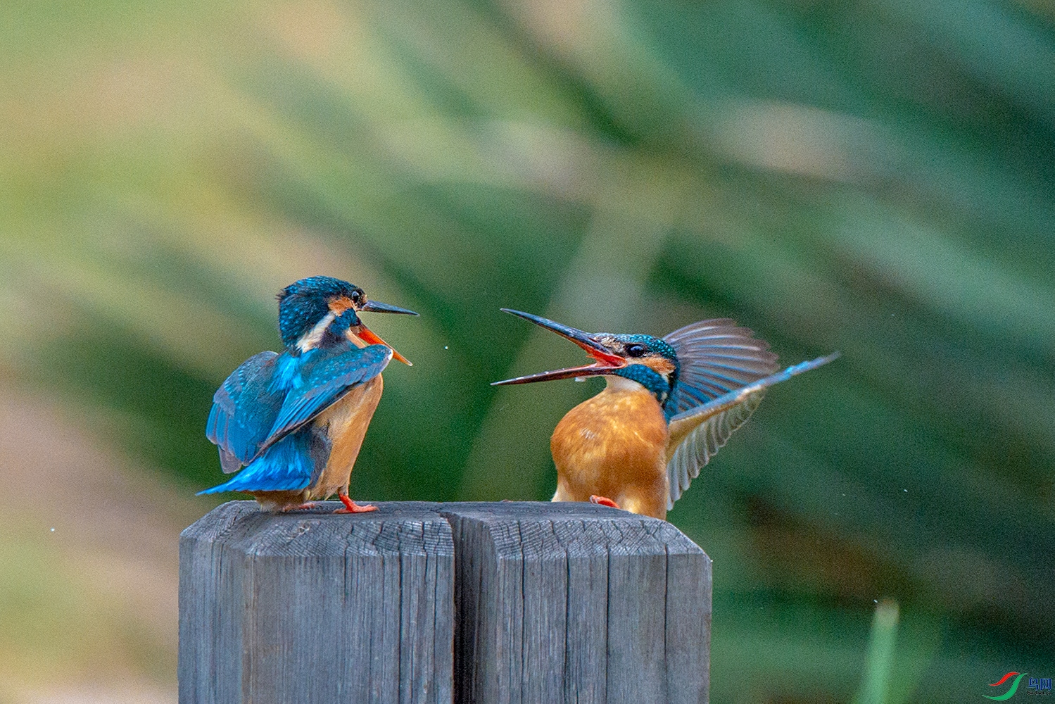 _DSC6664.jpg