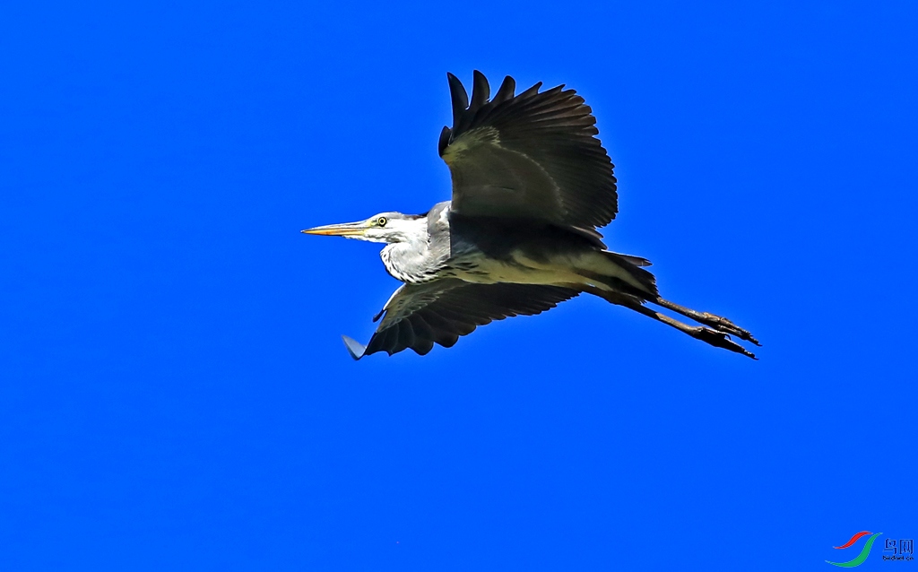 8E8A7560ab.jpg