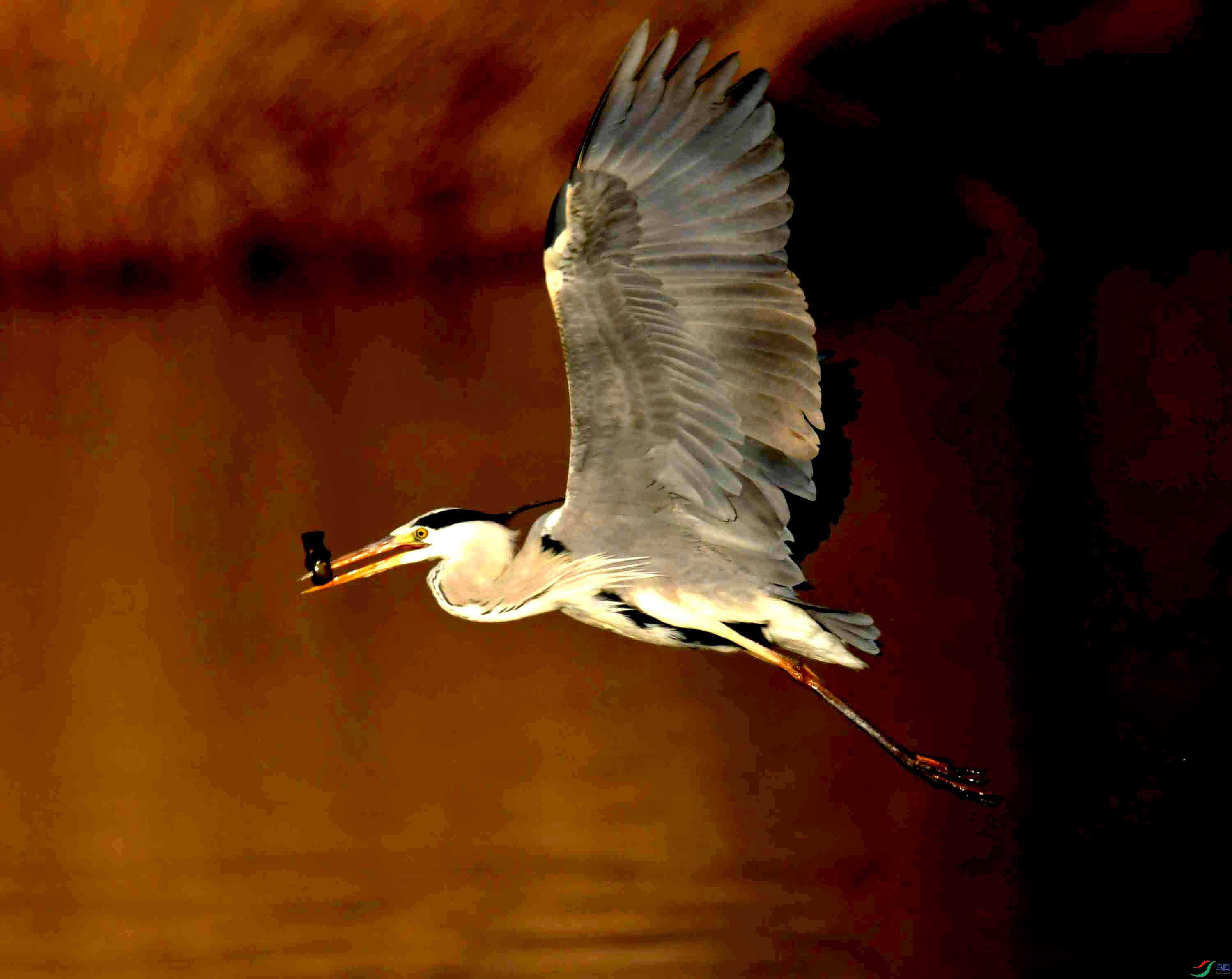 DSC_0104.JPG