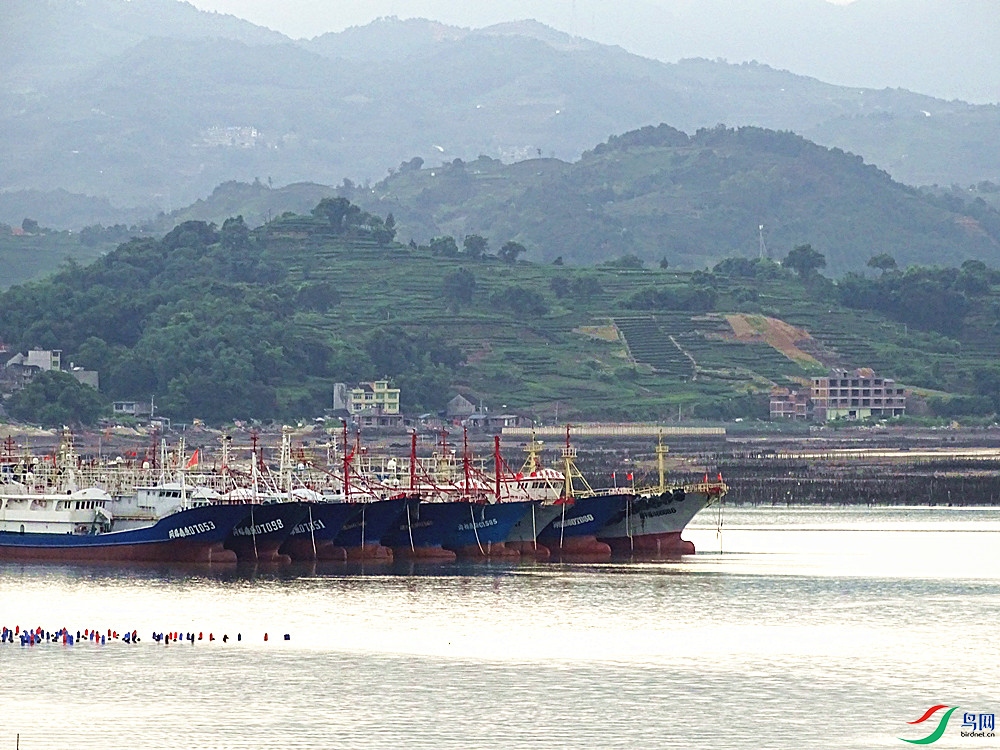 ���� (3).jpg