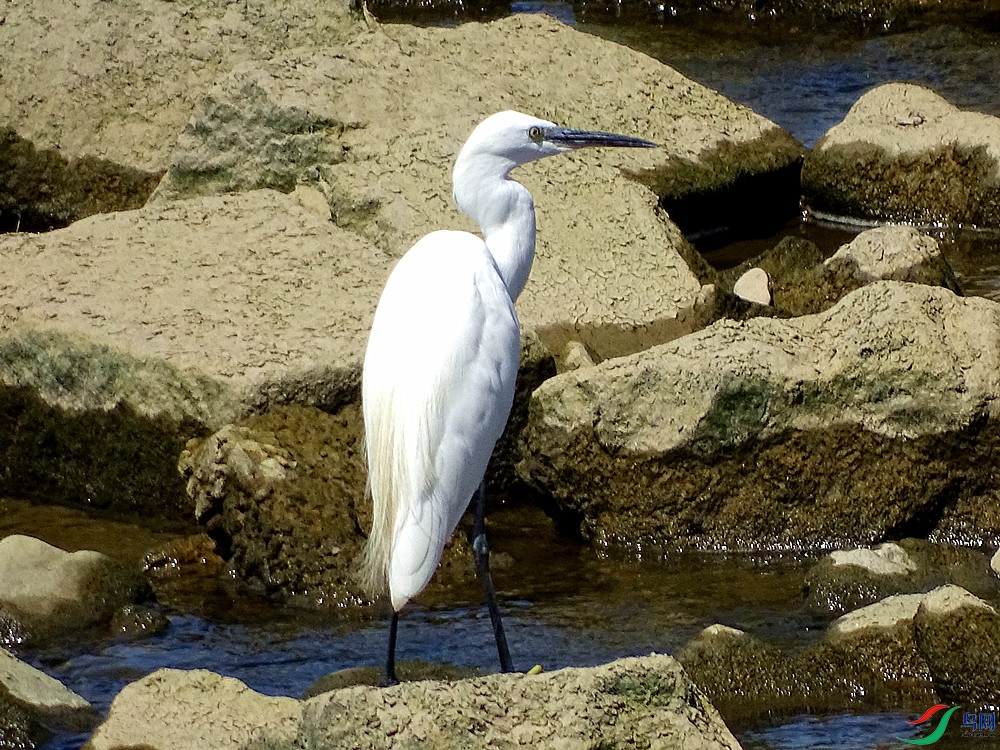 ���� (6).jpg