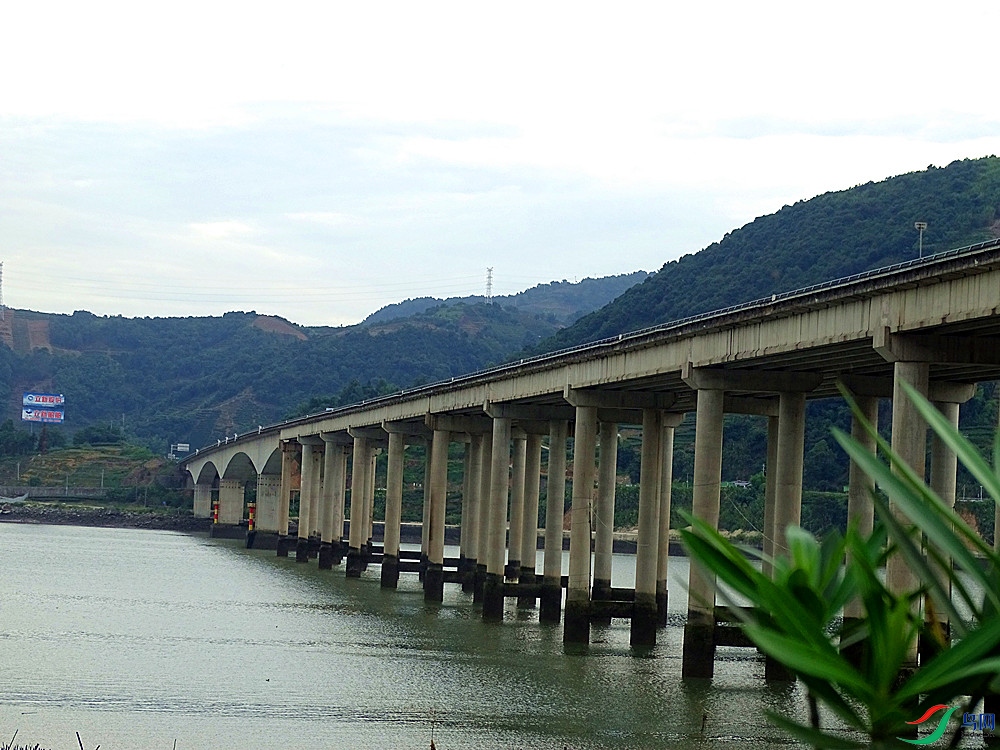 ���� (2).jpg