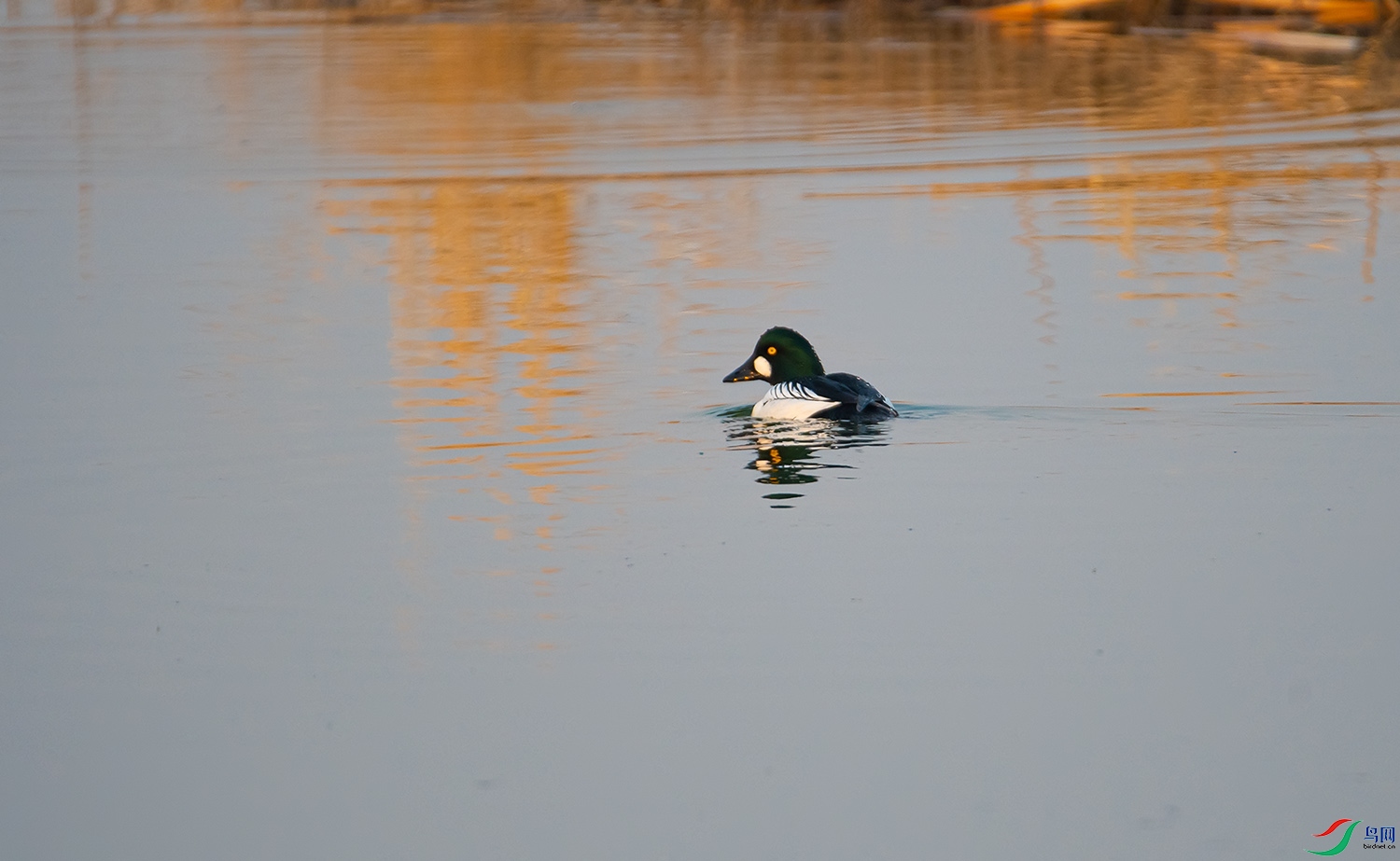 20200412 (282).jpg