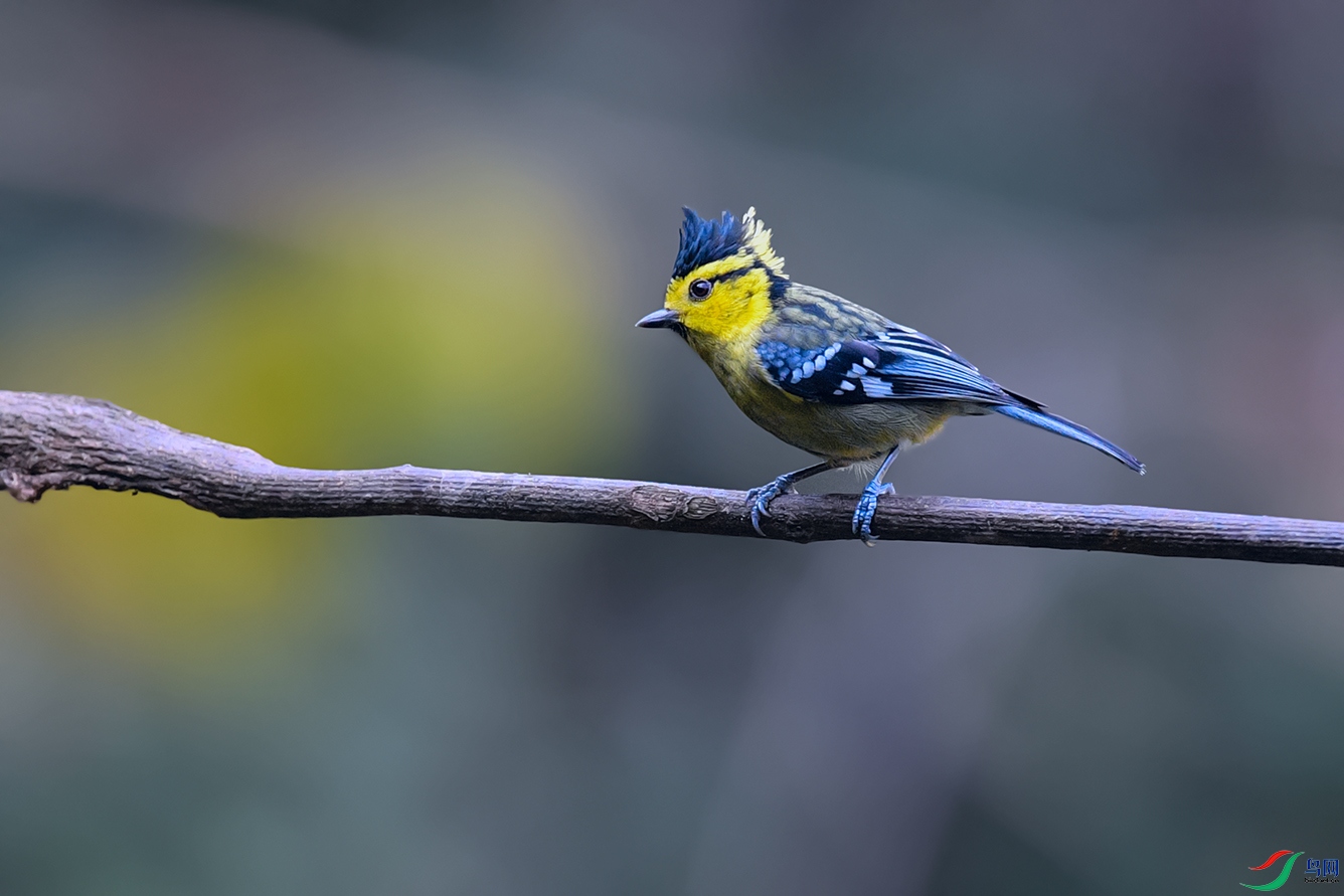 DSC_8873aa.jpg