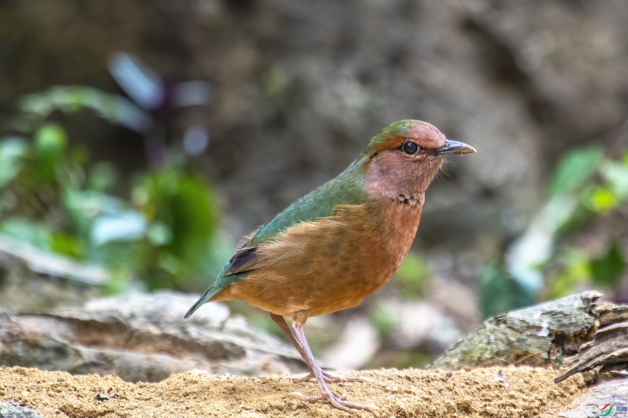 DSC_1208_����.jpg