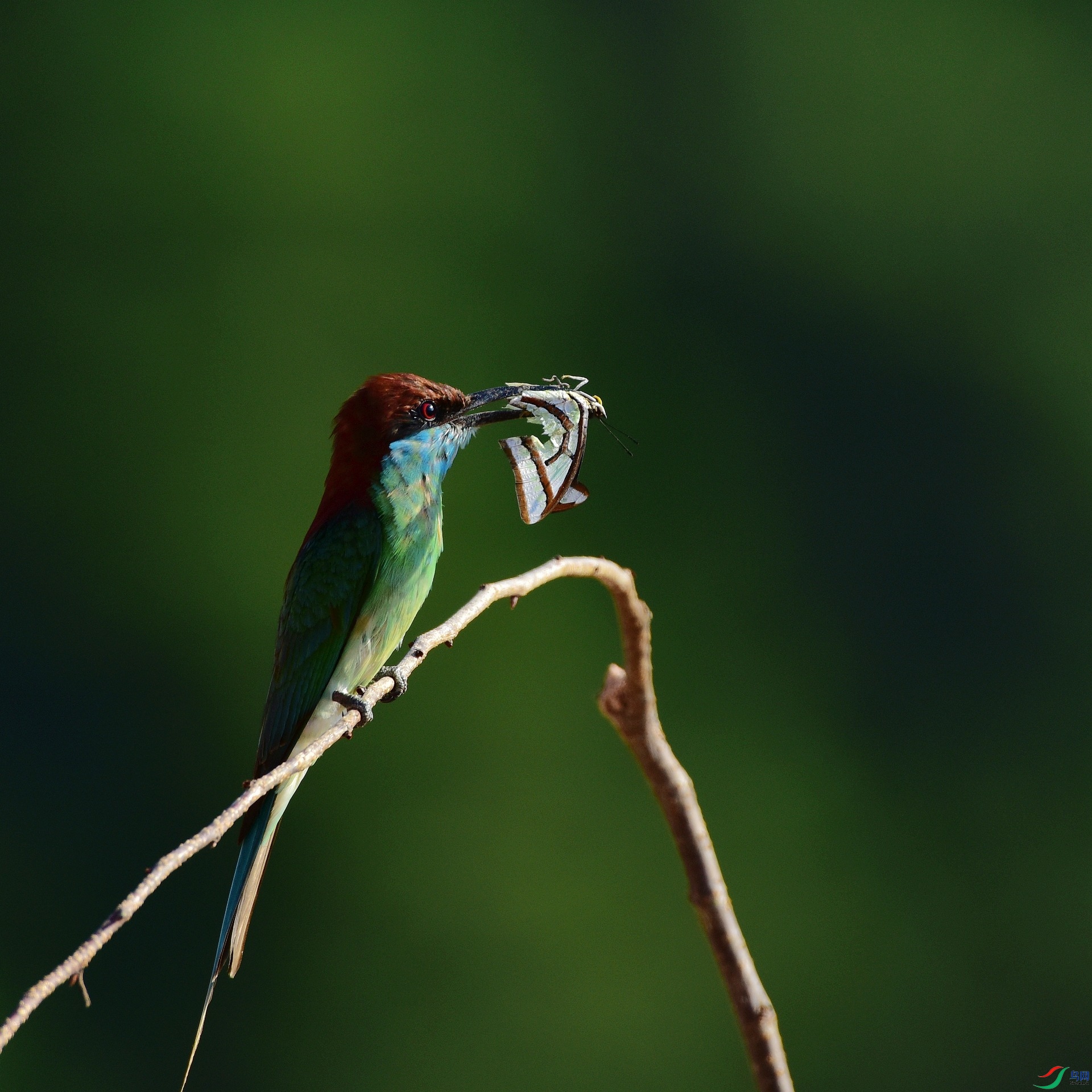 D8I_0824.jpg
