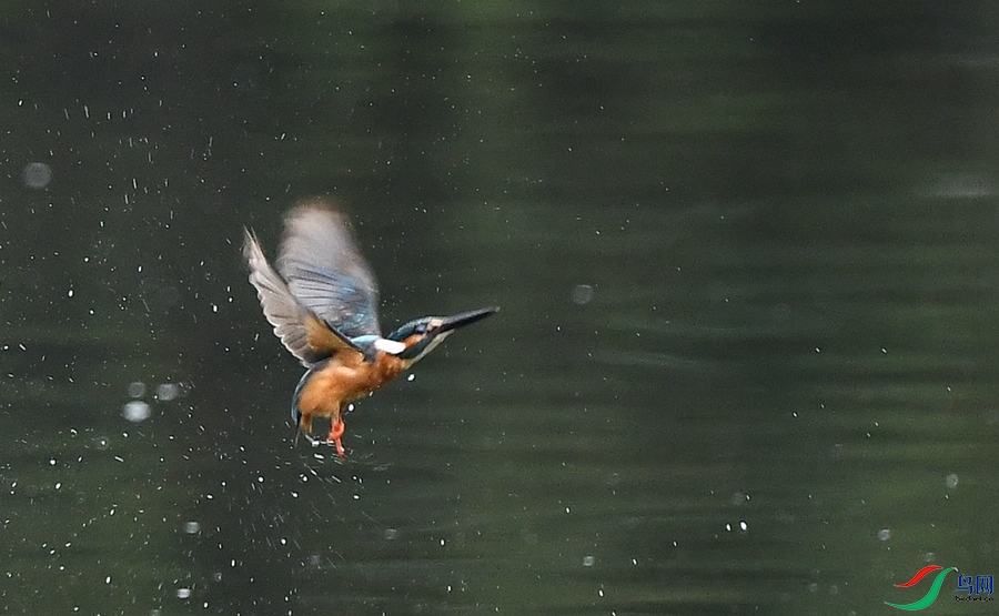 DSC_3245.JPG