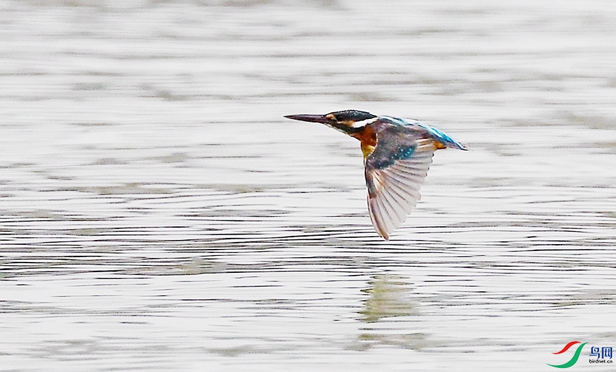 DSC_5432.JPG