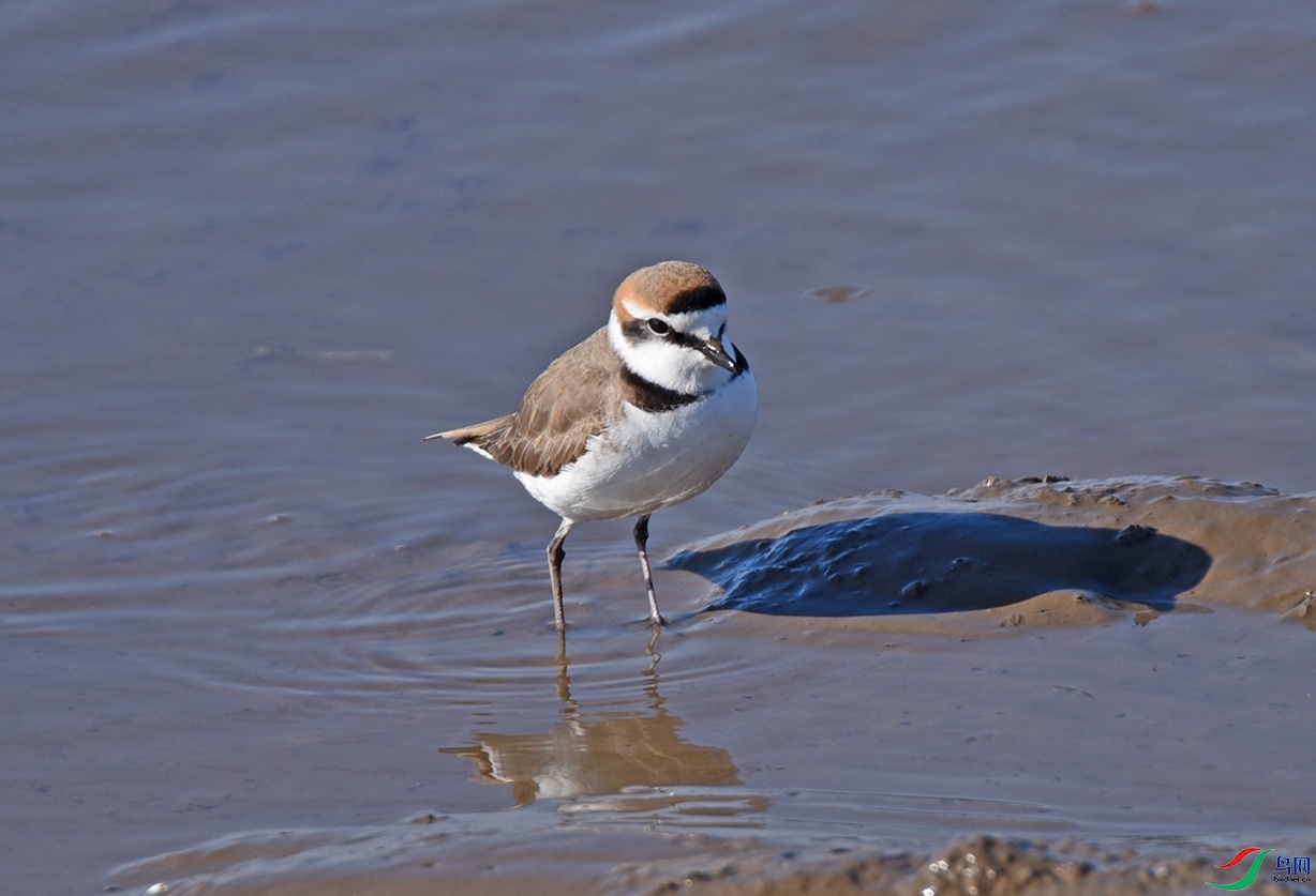 DSC_6344.jpg