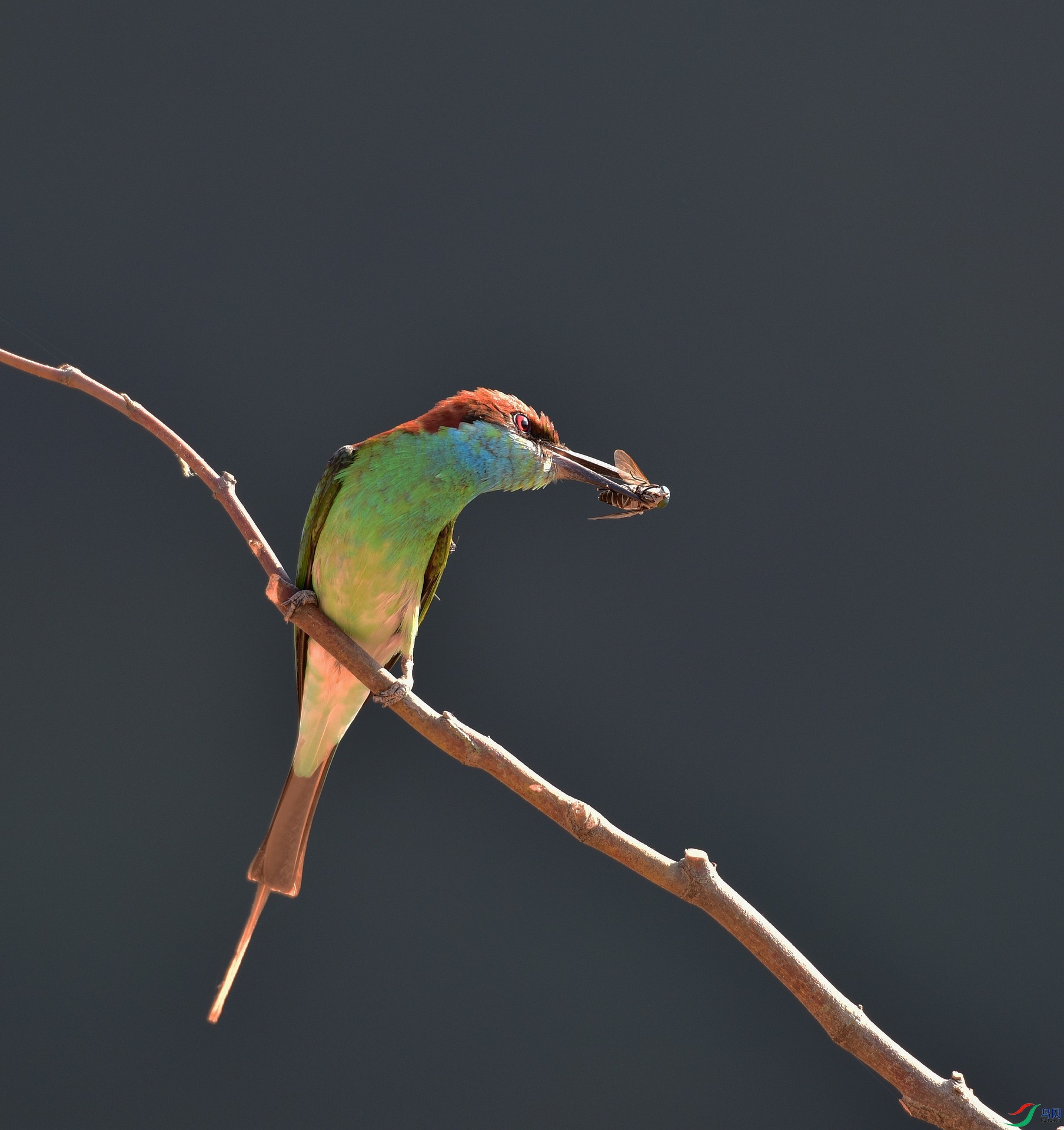 D8I_4851.jpg