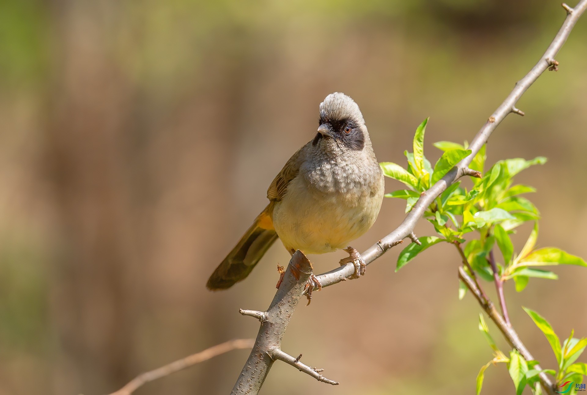 DSC_2691 ����.jpg