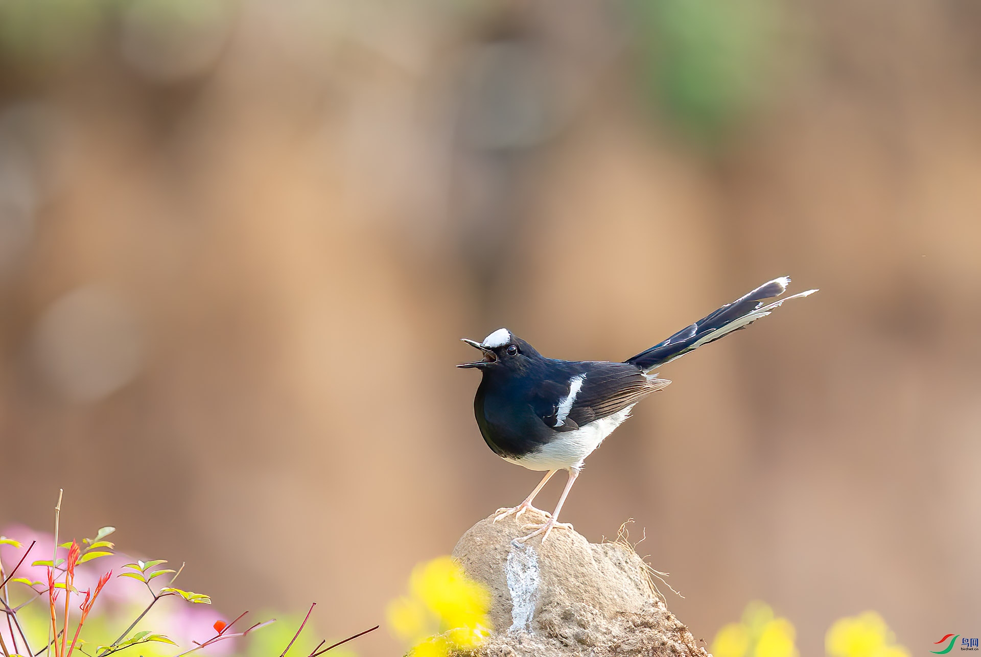 DSC_2288 ����.jpg