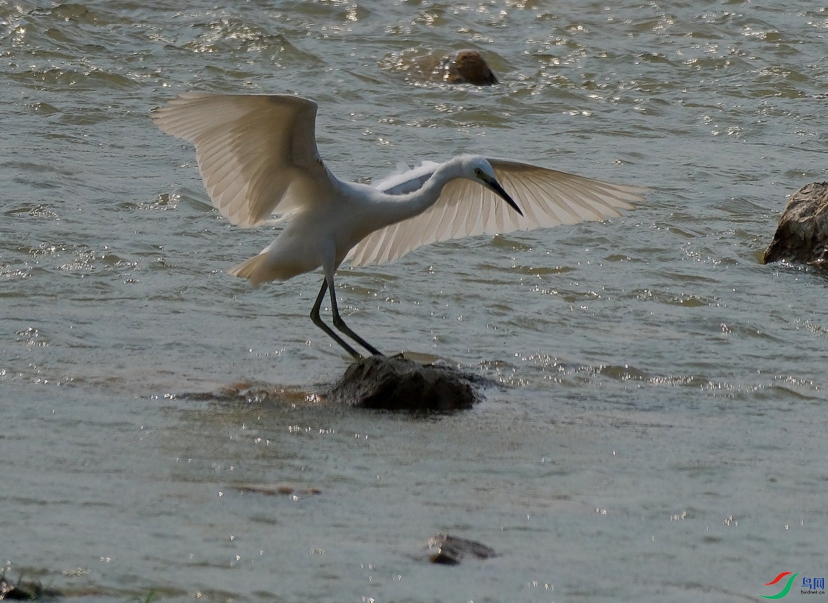 DSCF4538.JPG