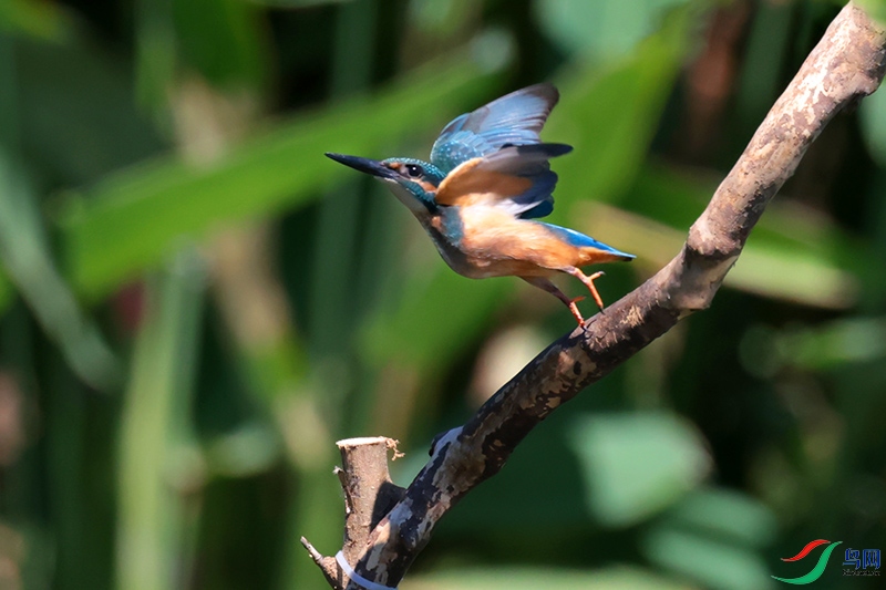 A28A4263-.jpg