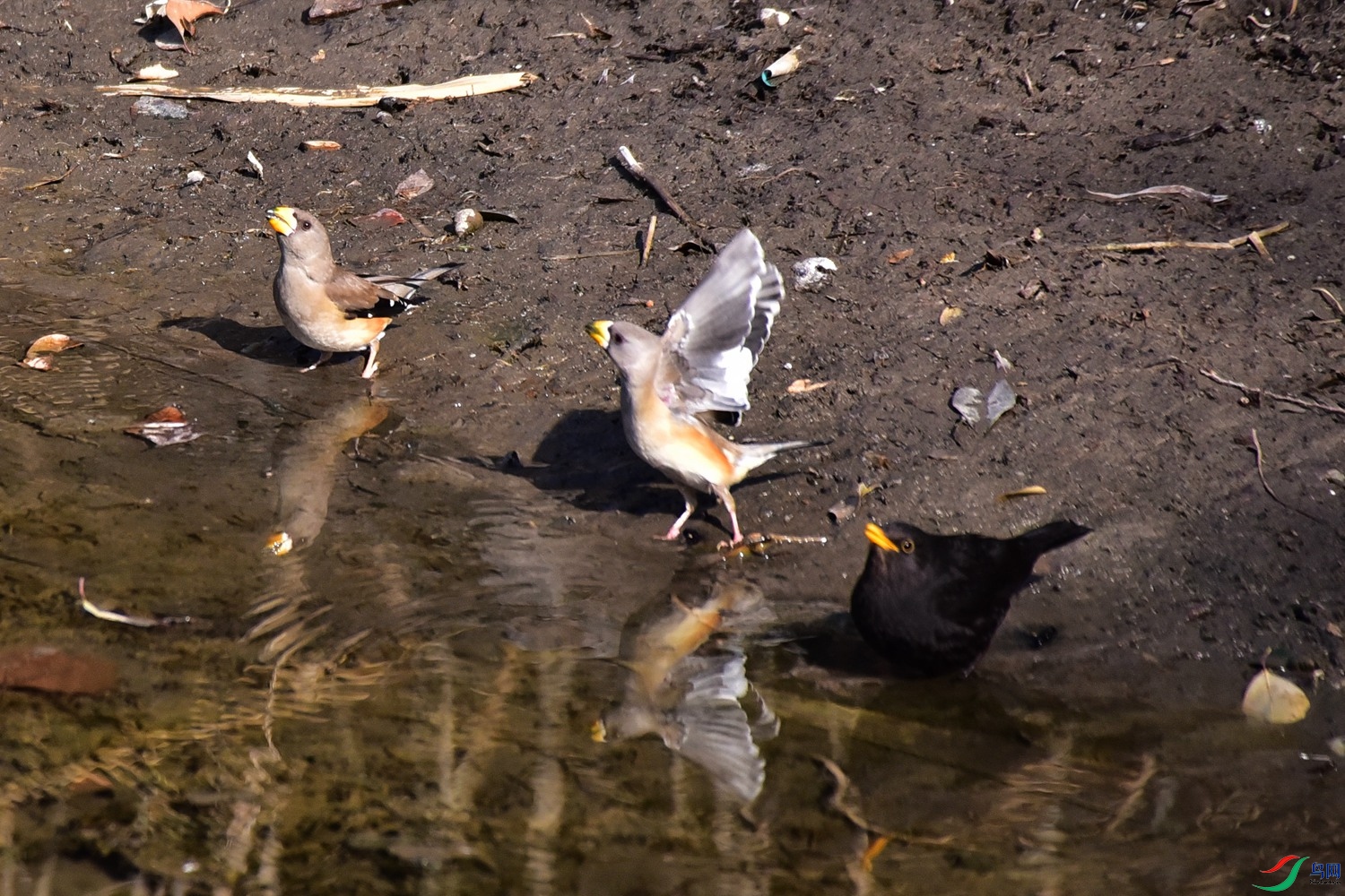 DSC_7512.JPG