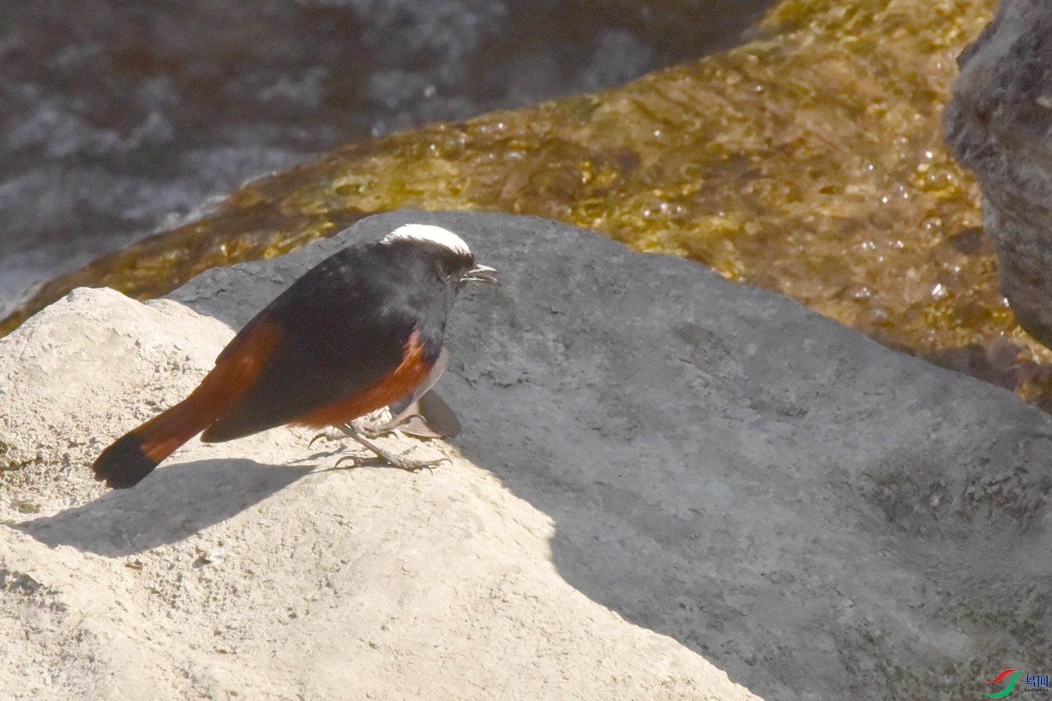 DSC_9267.JPG