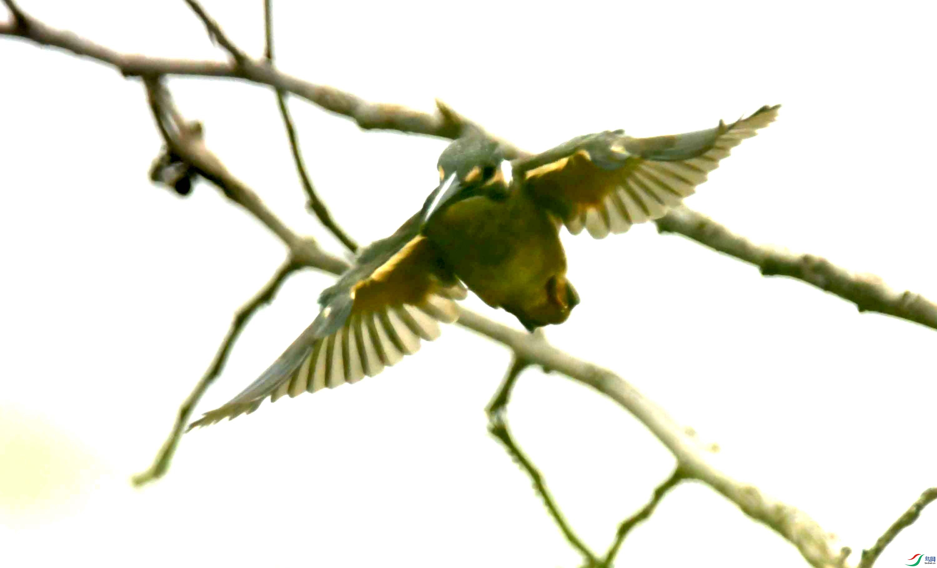 DSC_4166.JPG