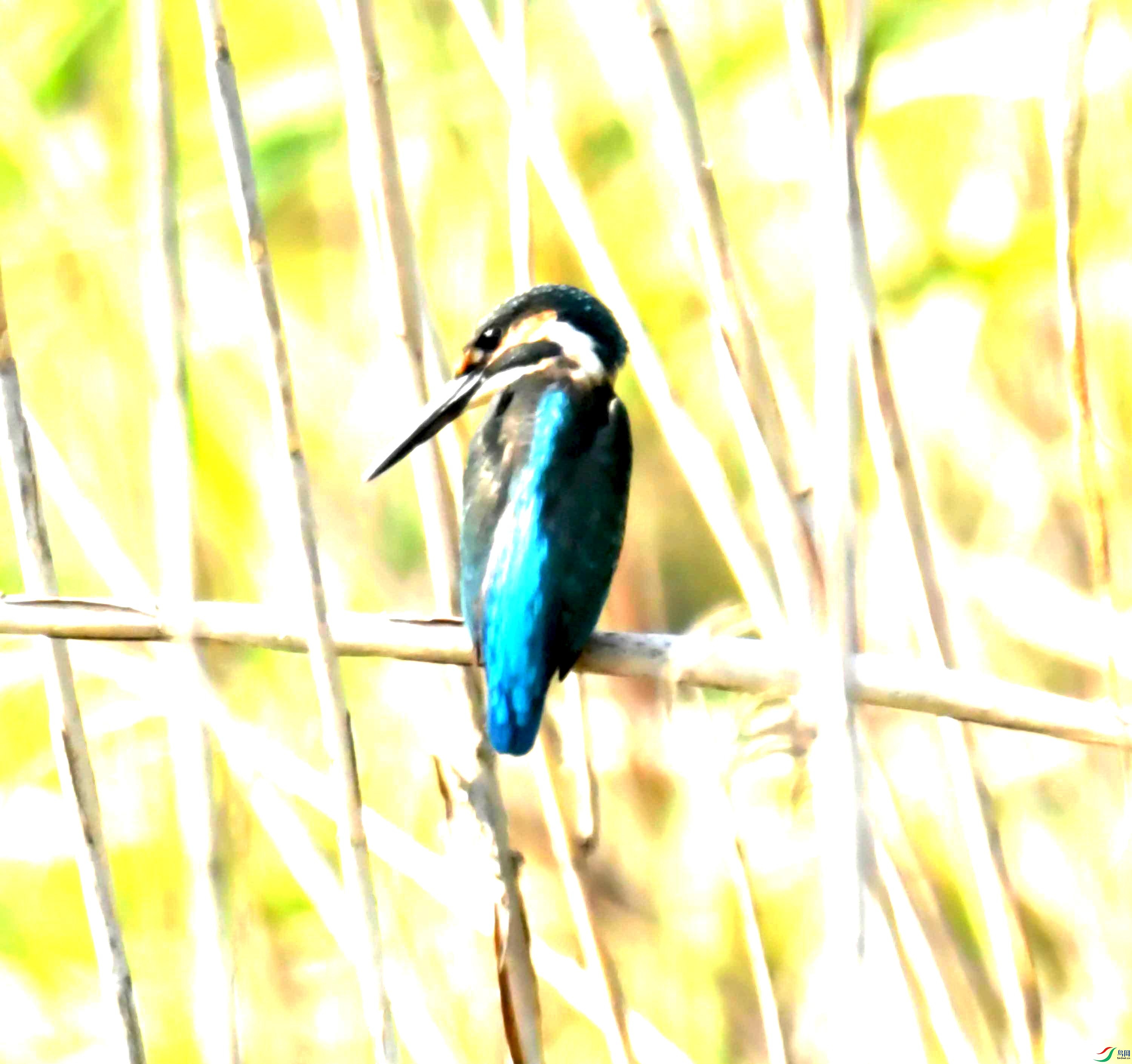 DSC_7725.JPG