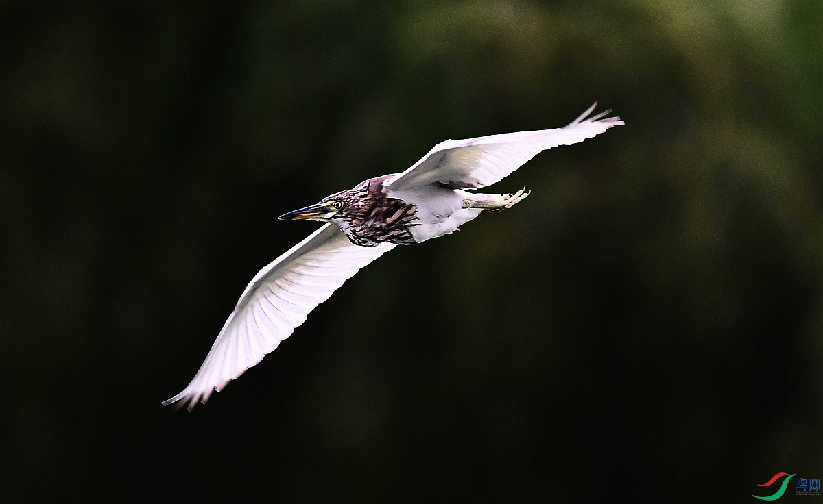 DSC_5543.JPG