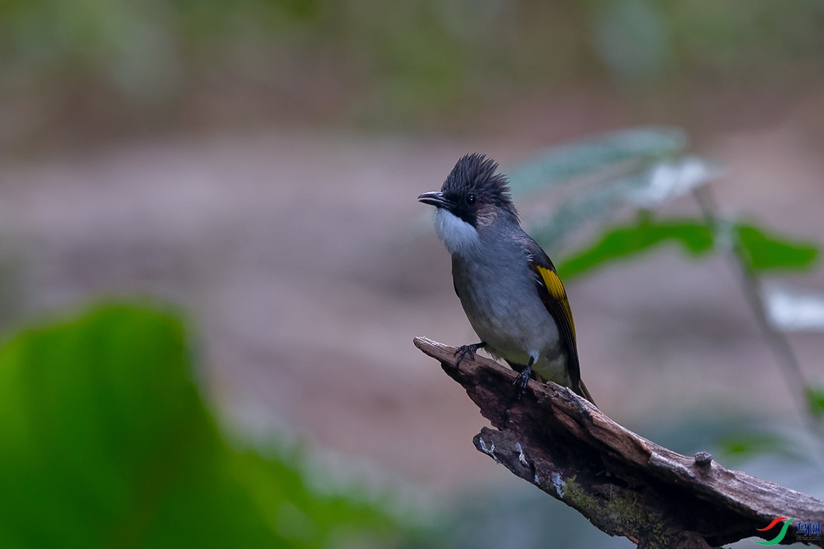 DSC_5552_DxOa.jpg