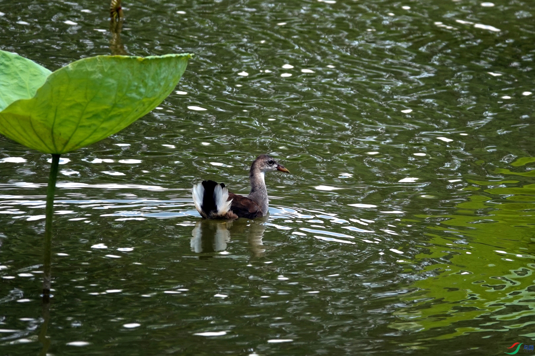 DSC04062.JPG