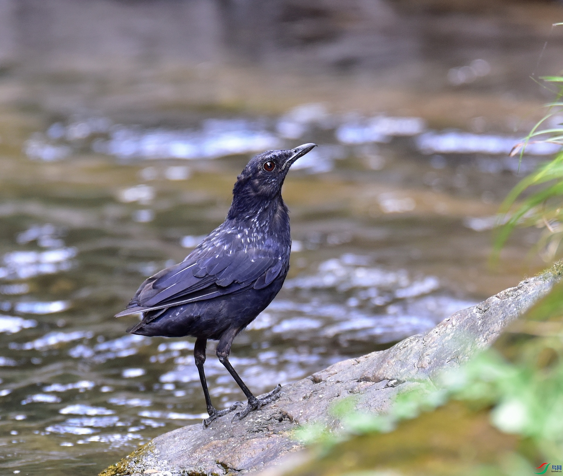 D8I_8554.jpg