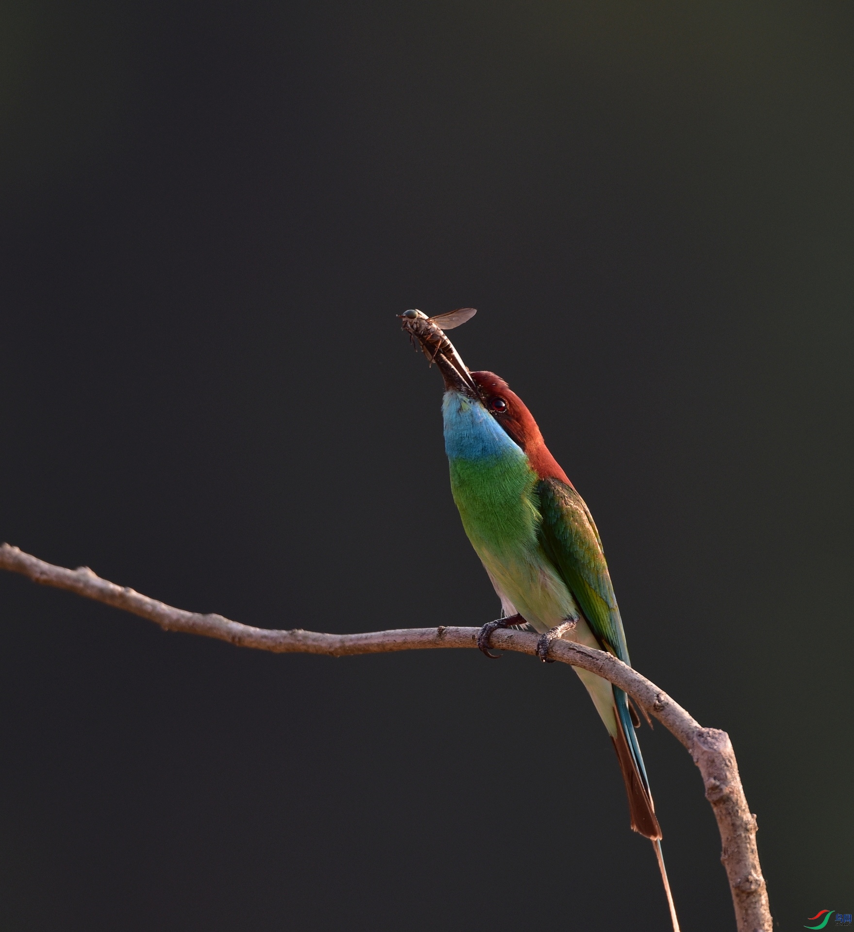 D8I_6903.jpg
