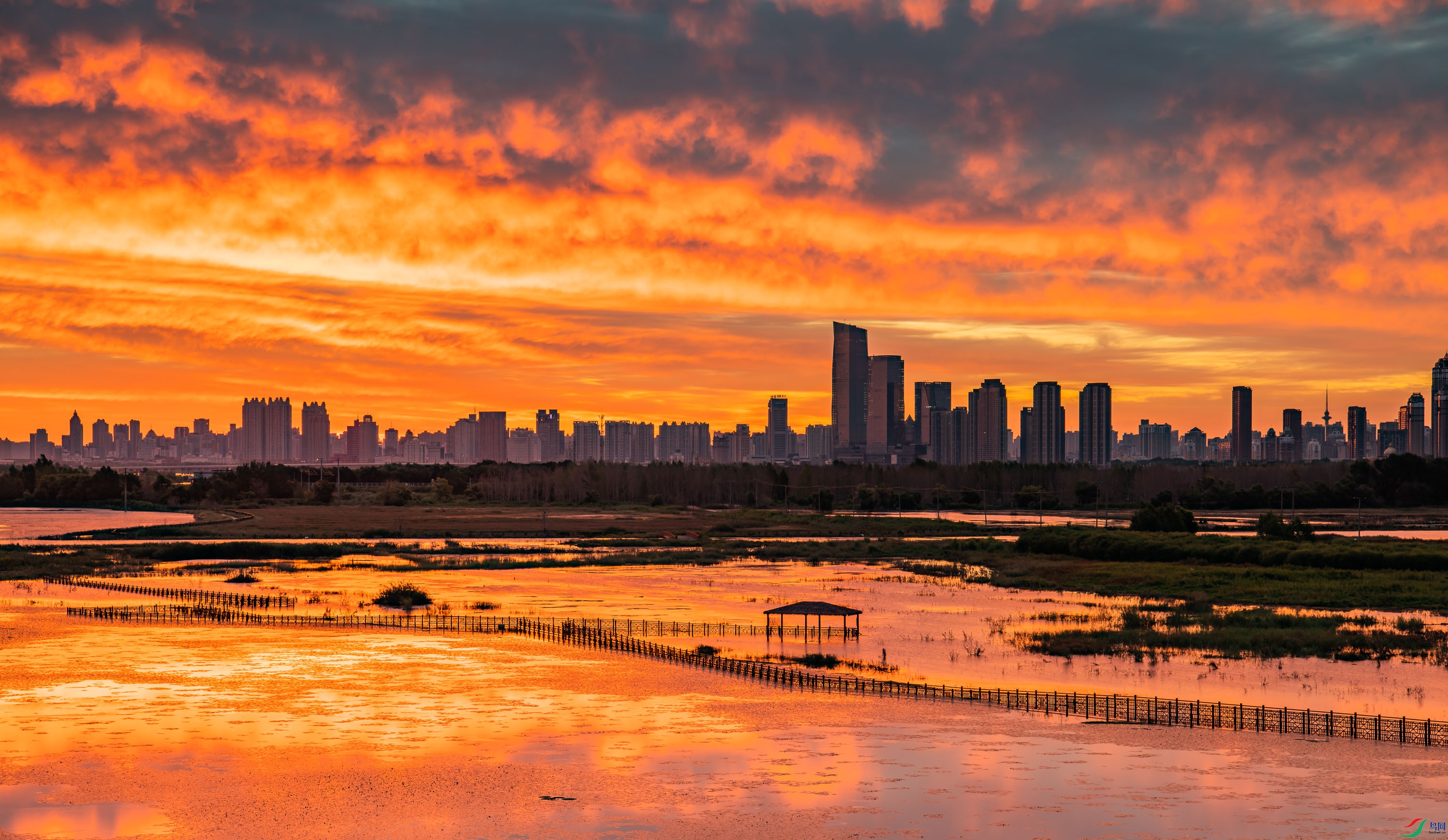 ��ϼ����