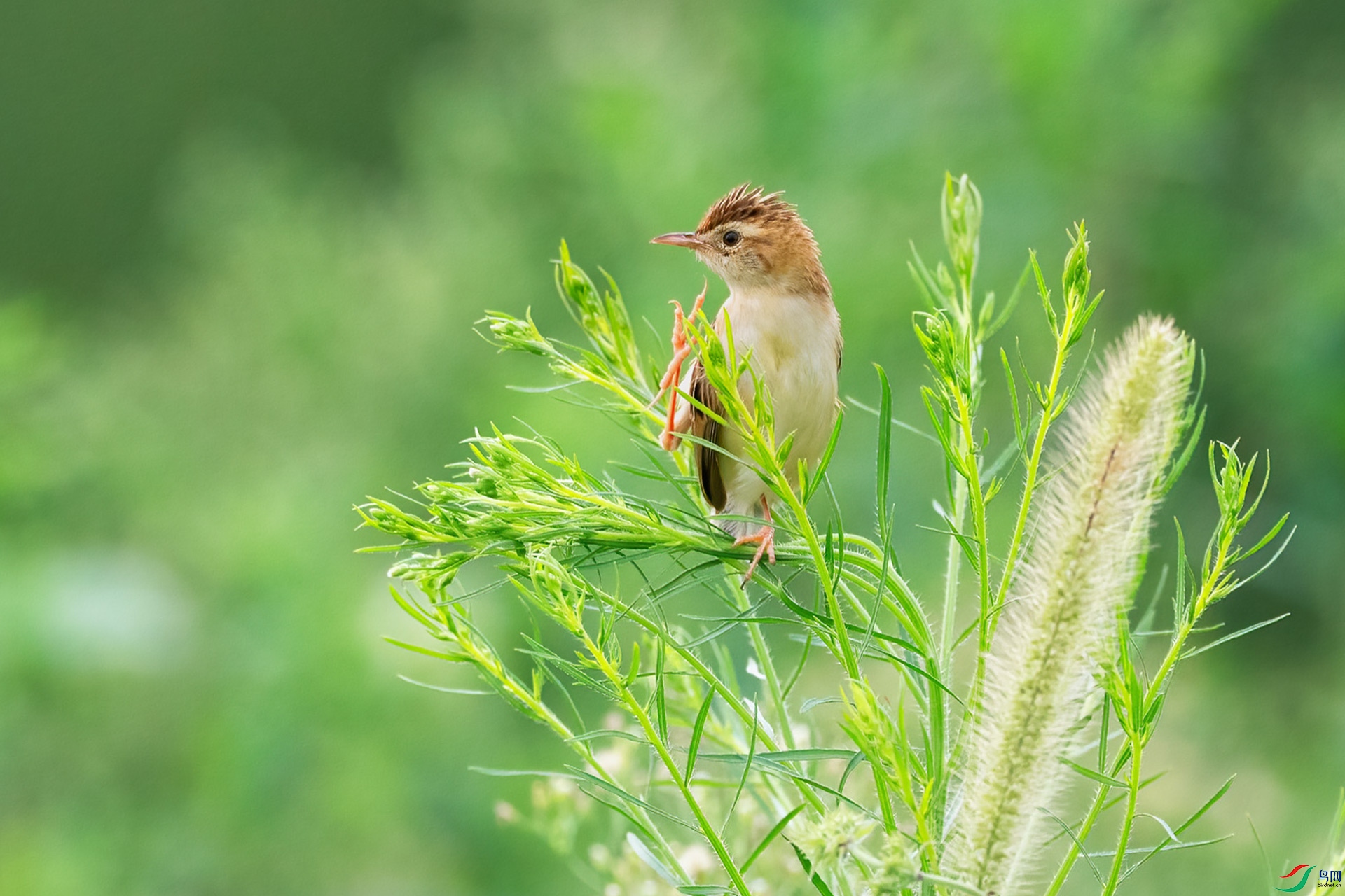 _B5A6672.jpg