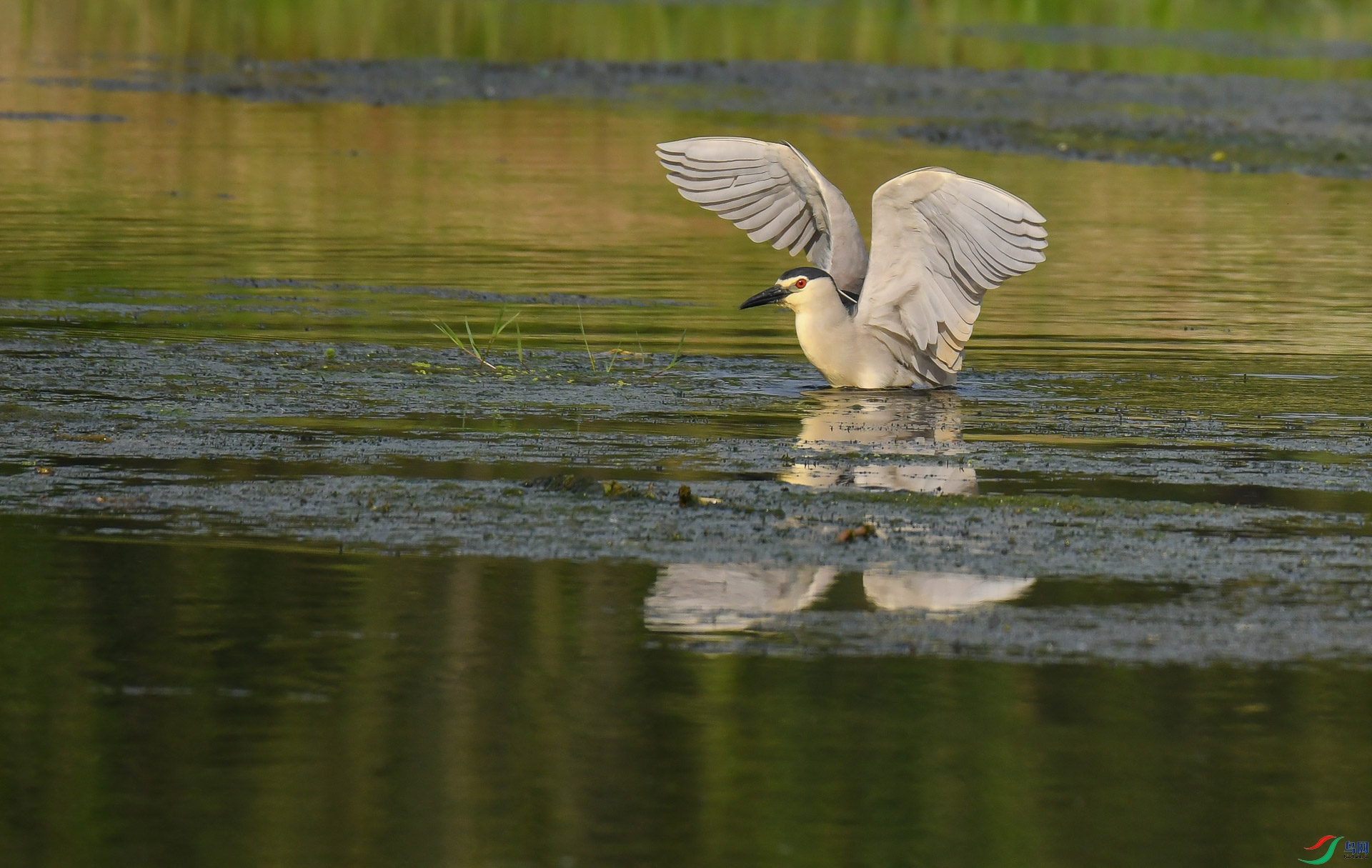 DSC_7523.jpg