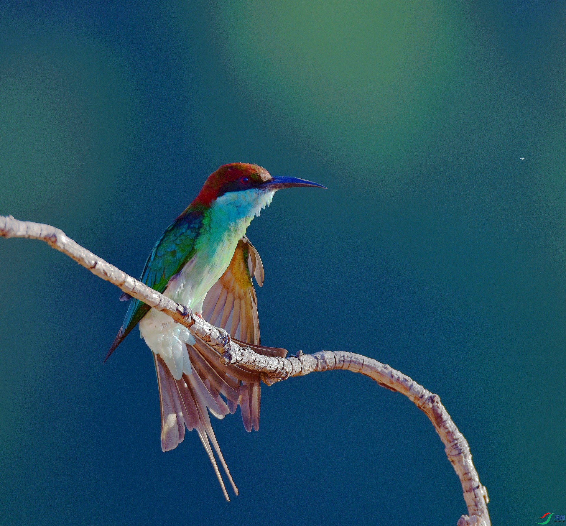D8I_3597.jpg