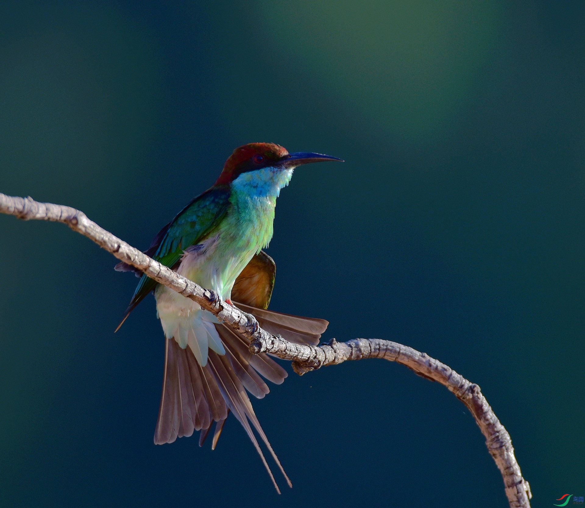 D8I_3592.jpg