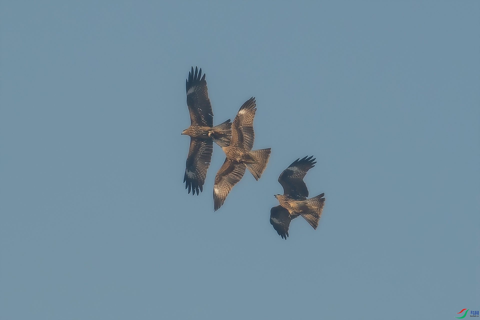 DSC_5441.jpg